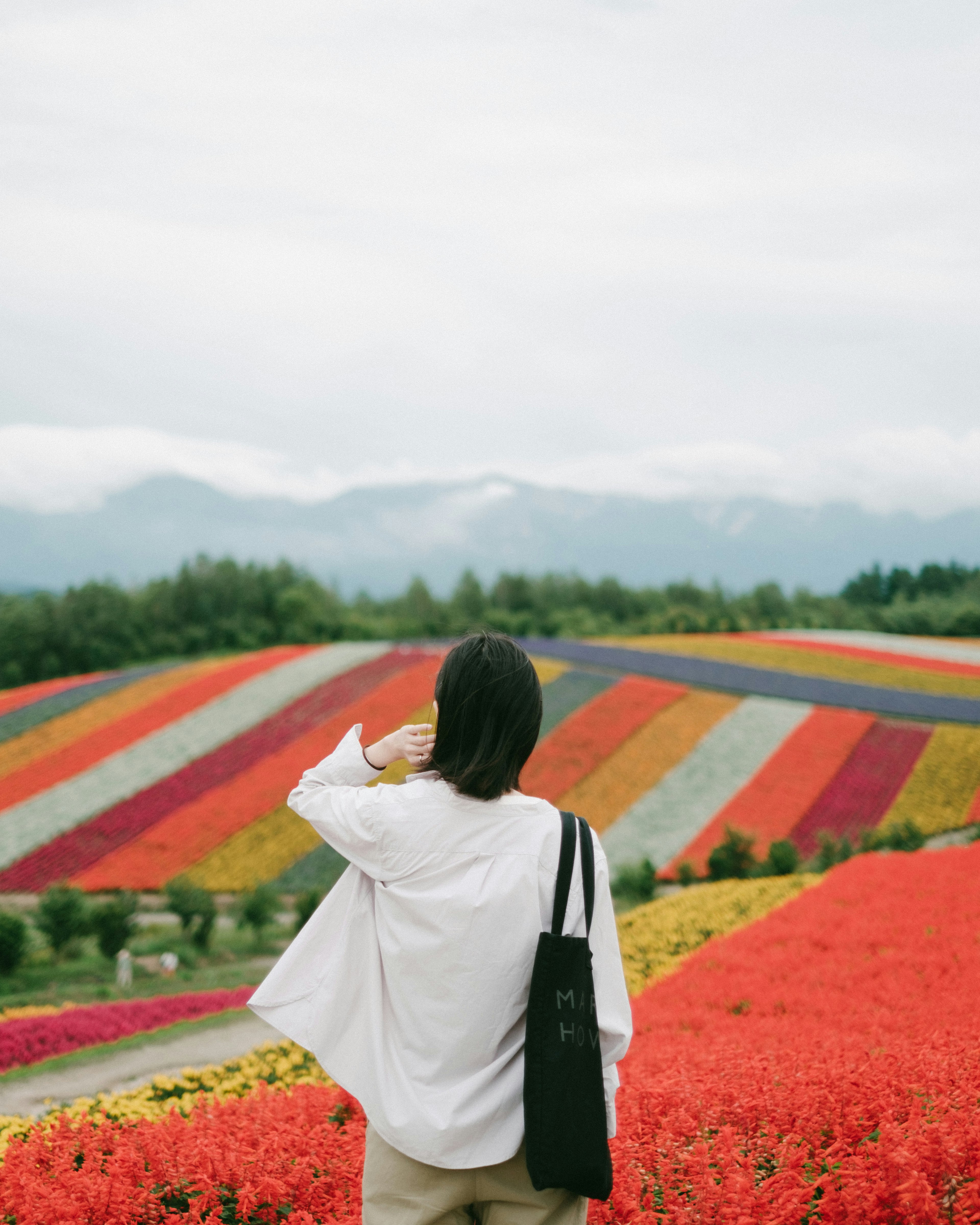 Una donna di spalle davanti a campi di fiori colorati