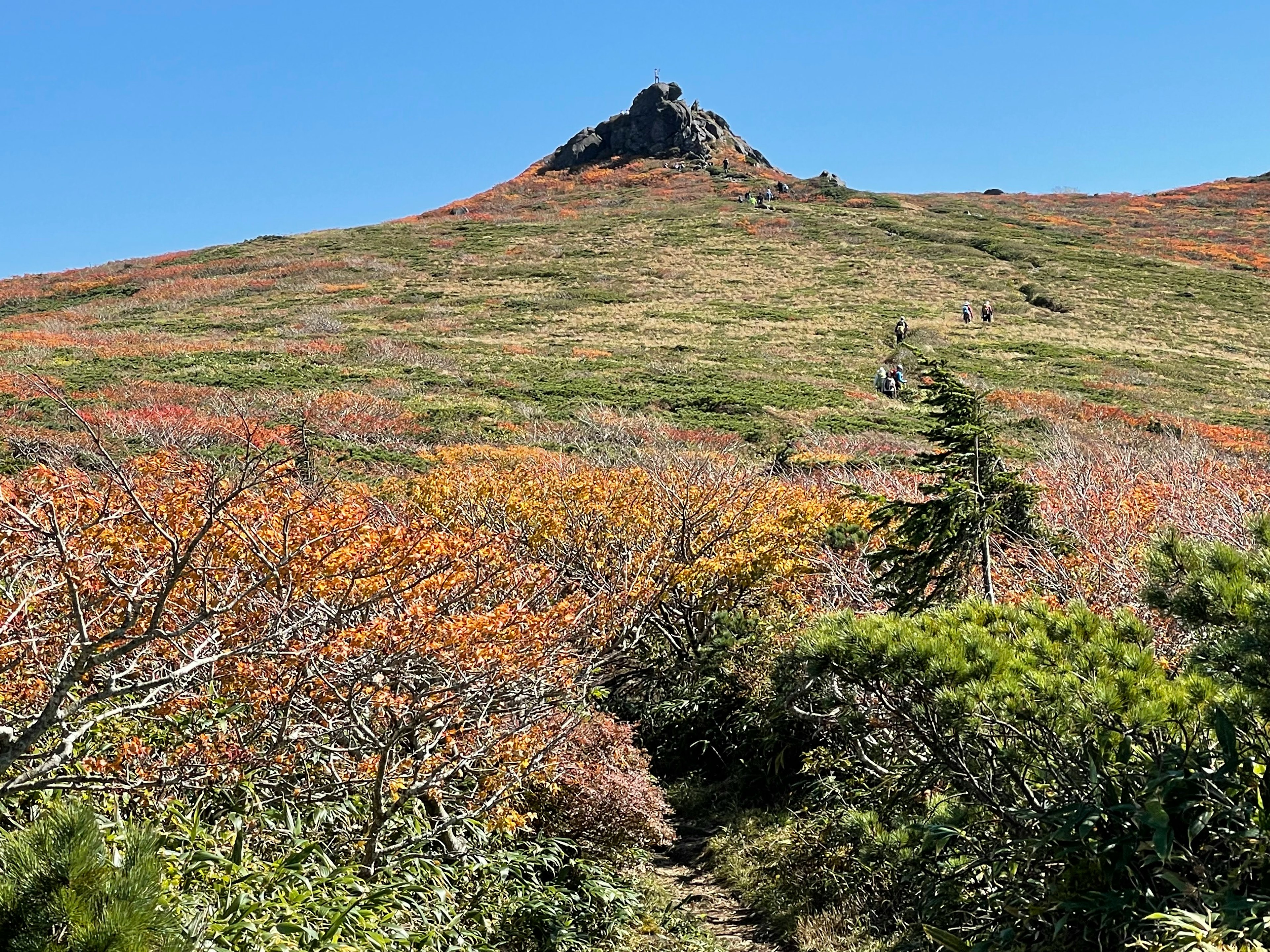 山の頂上にある岩と秋の色づいた木々の風景