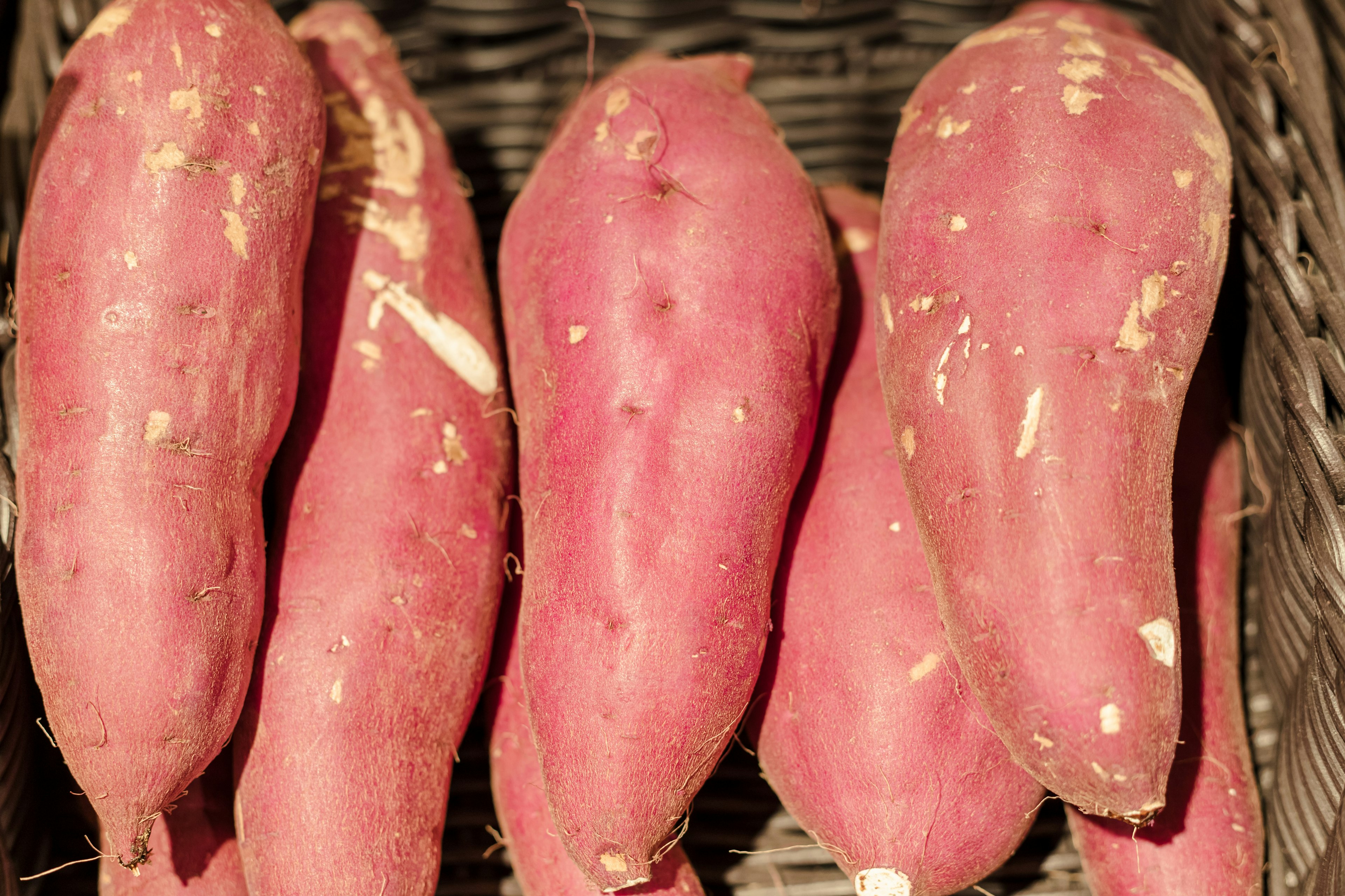 A cluster of fresh sweet potatoes in a basket