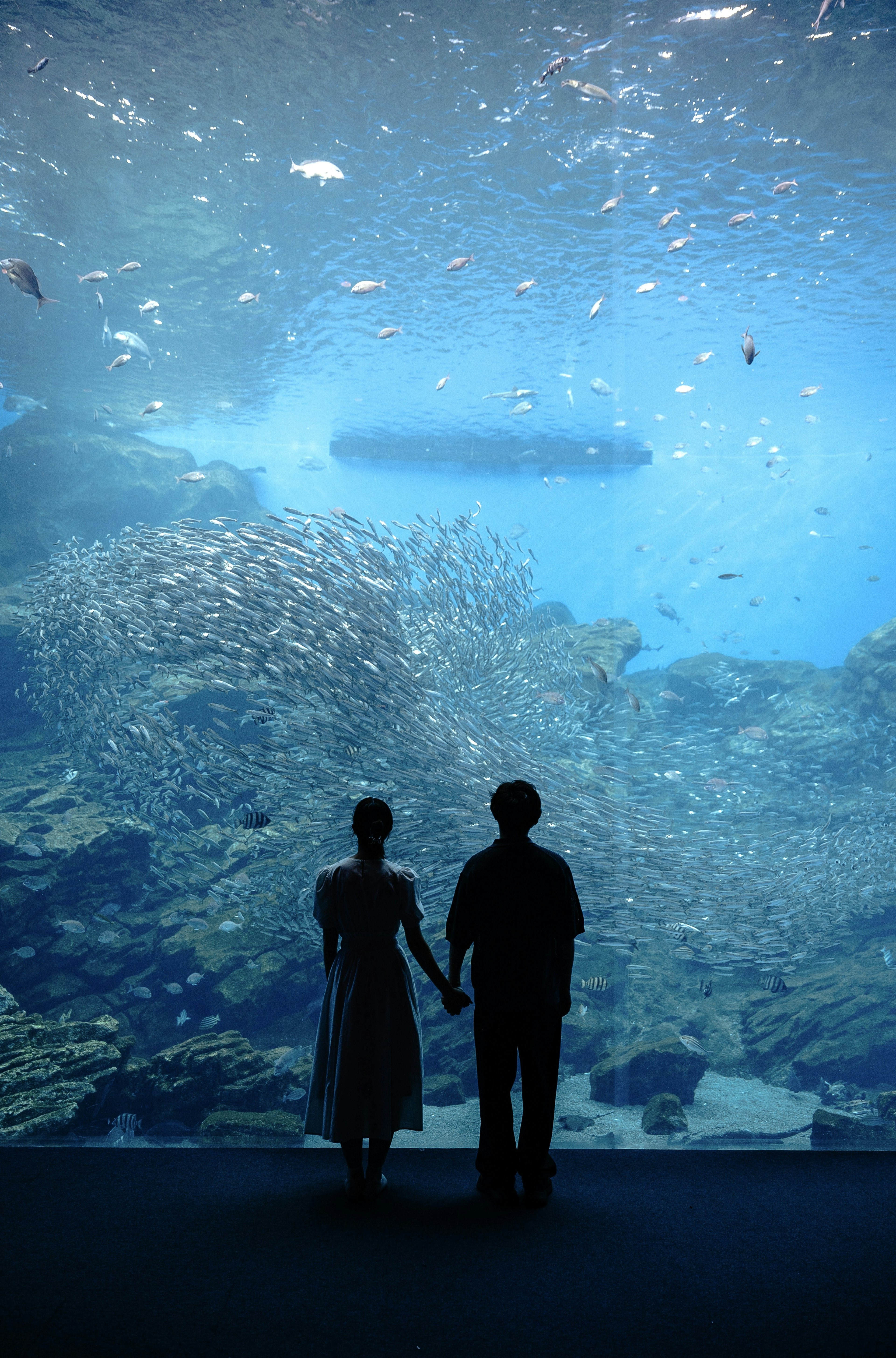 一對情侶站在大型水族館前，藍色水中游動著魚