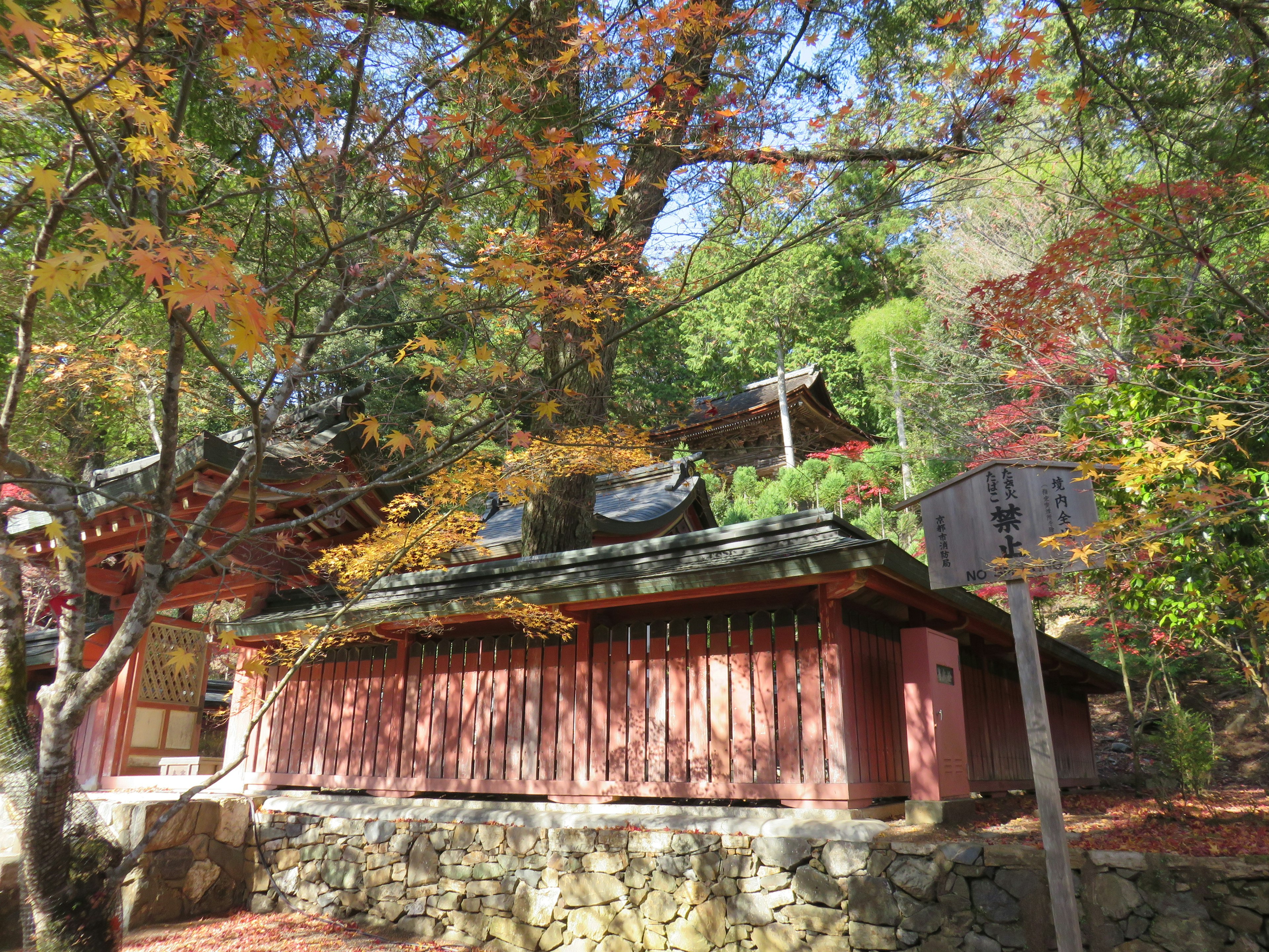 Bâtiment traditionnel japonais entouré de feuillage d'automne et de mur en pierre