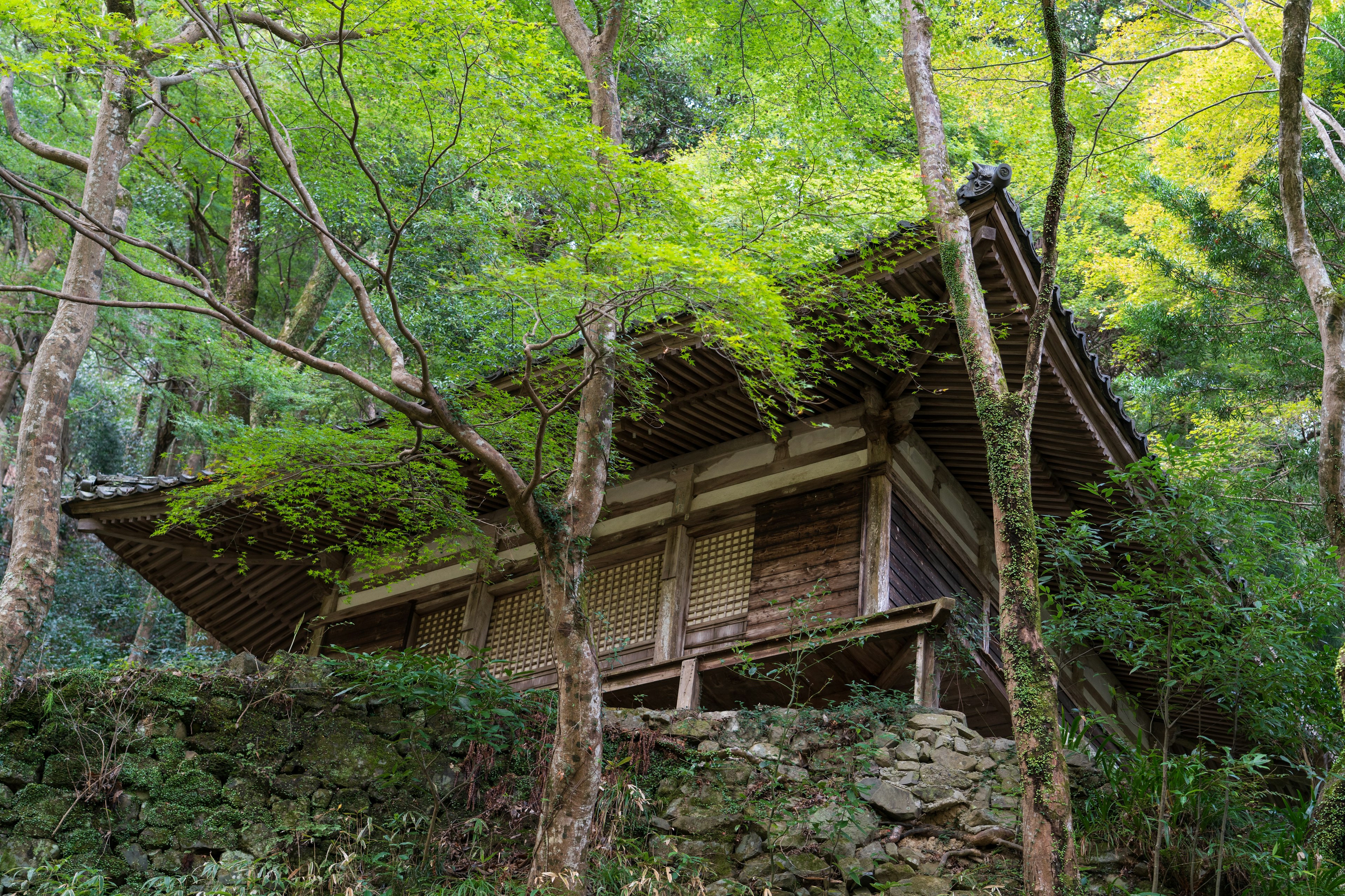 An old Japanese-style building surrounded by lush greenery