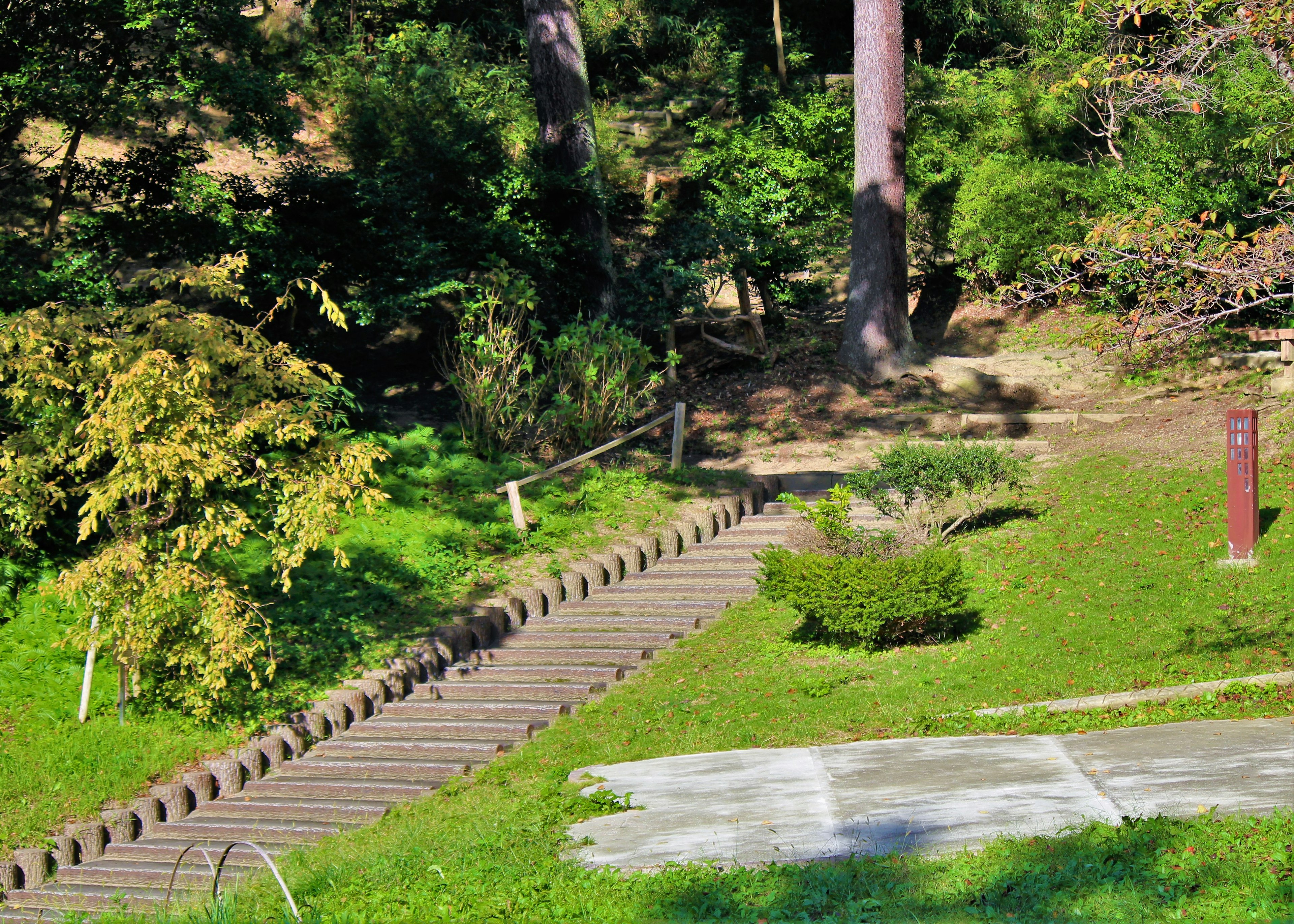 Tangga kayu di taman hijau subur dengan area rumput yang luas