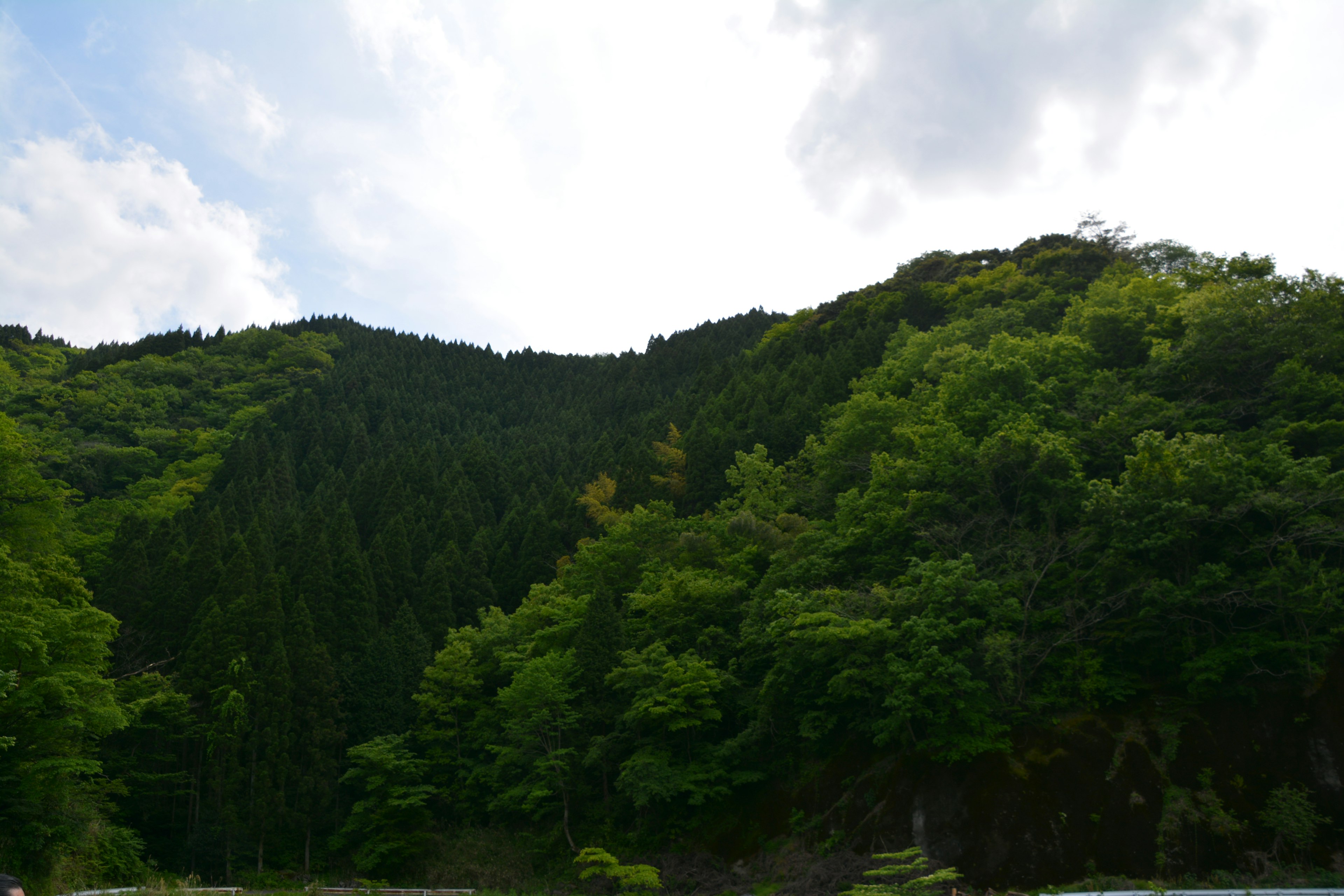 Lush green mountains under a blue sky