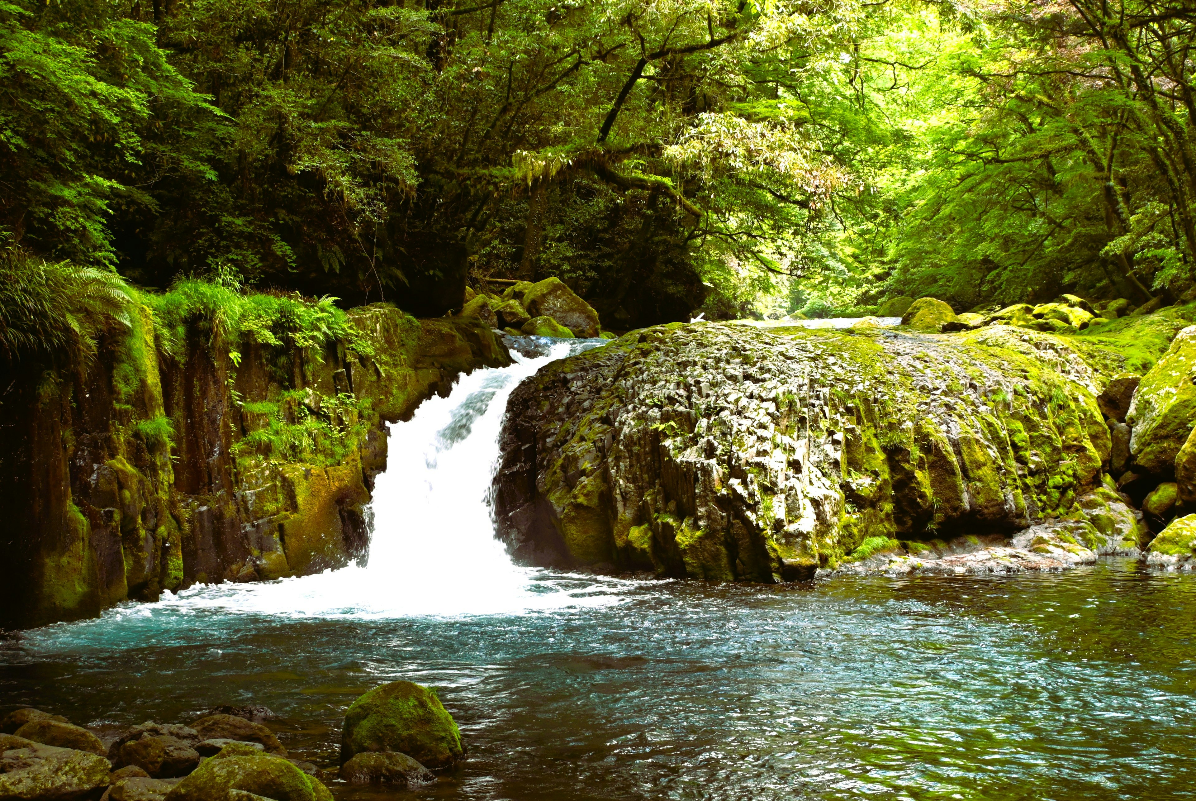 Pemandangan indah air terjun kecil dan aliran jernih di hutan lebat