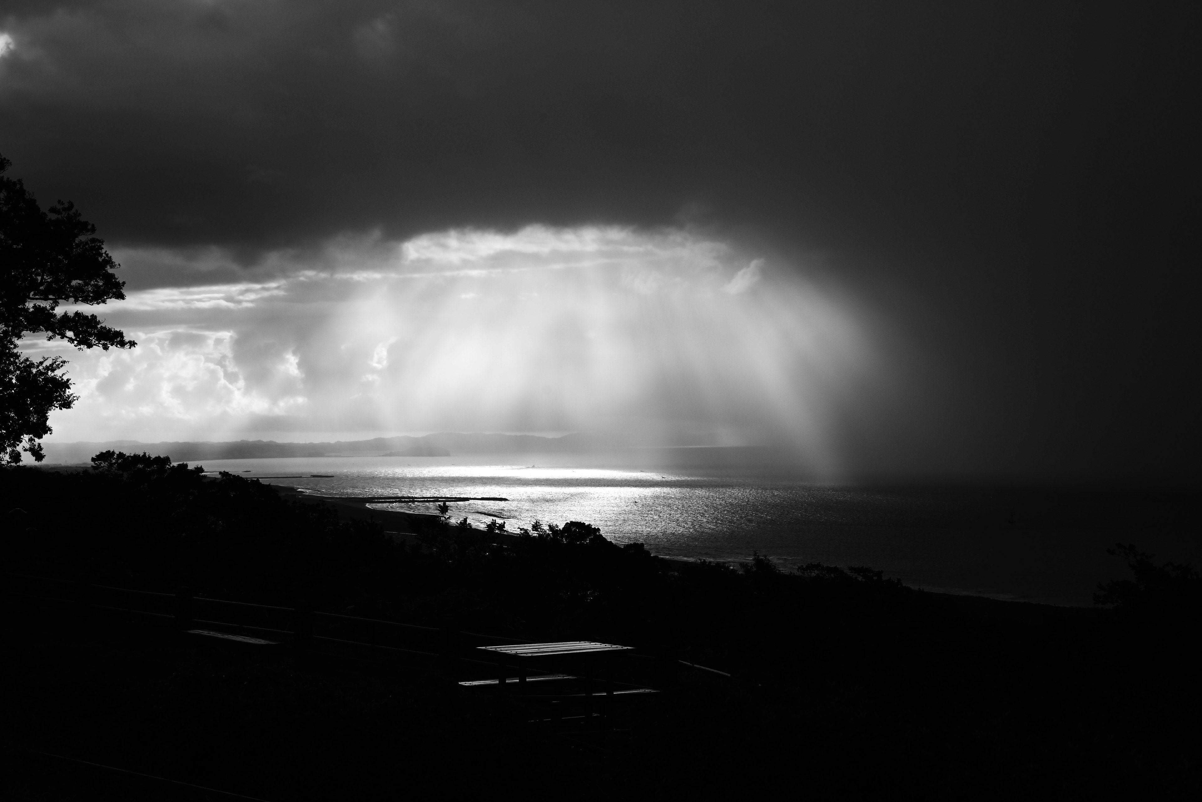 Paysage marin monochrome avec des rayons de lumière à travers les nuages, surface d'eau tranquille, silhouettes d'arbres