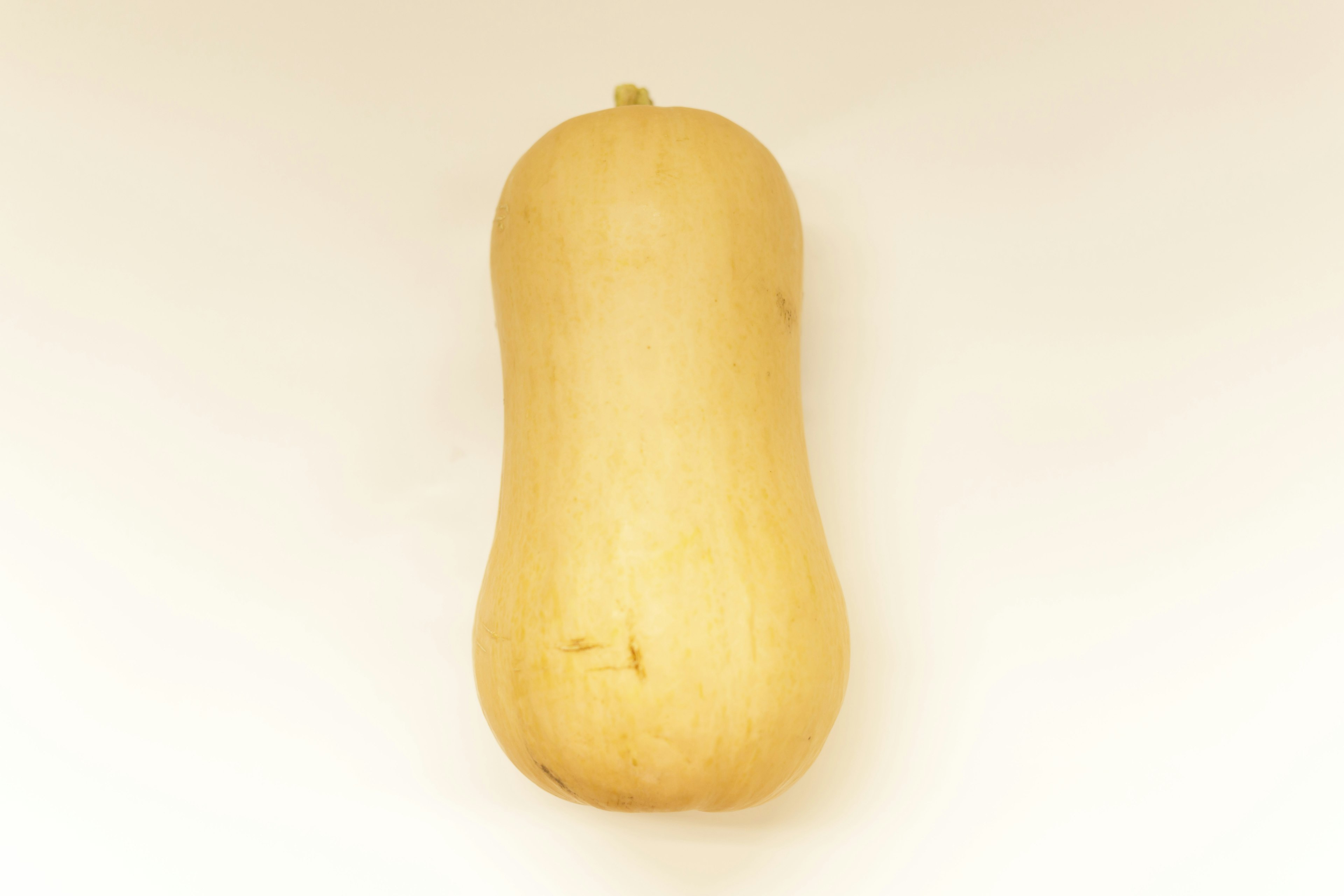 Ein Butternut-Kürbis vor einem weißen Hintergrund