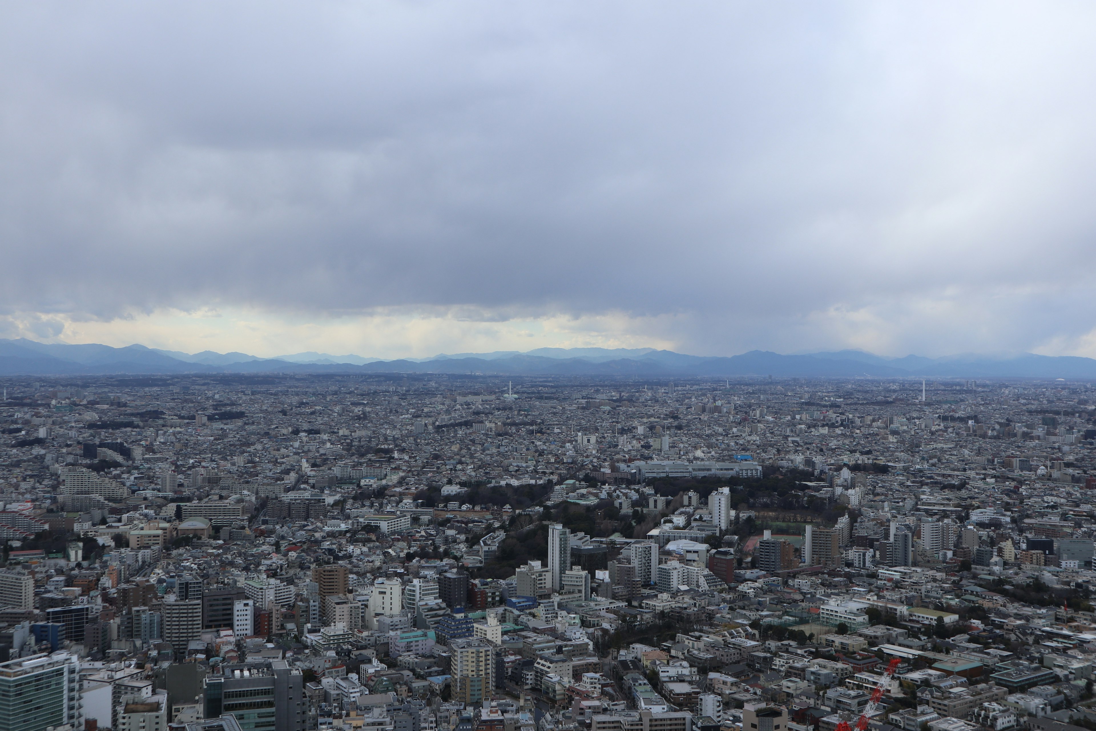 Vista aerea del paesaggio urbano di Tokyo con nuvole grigie sopra e montagne in lontananza