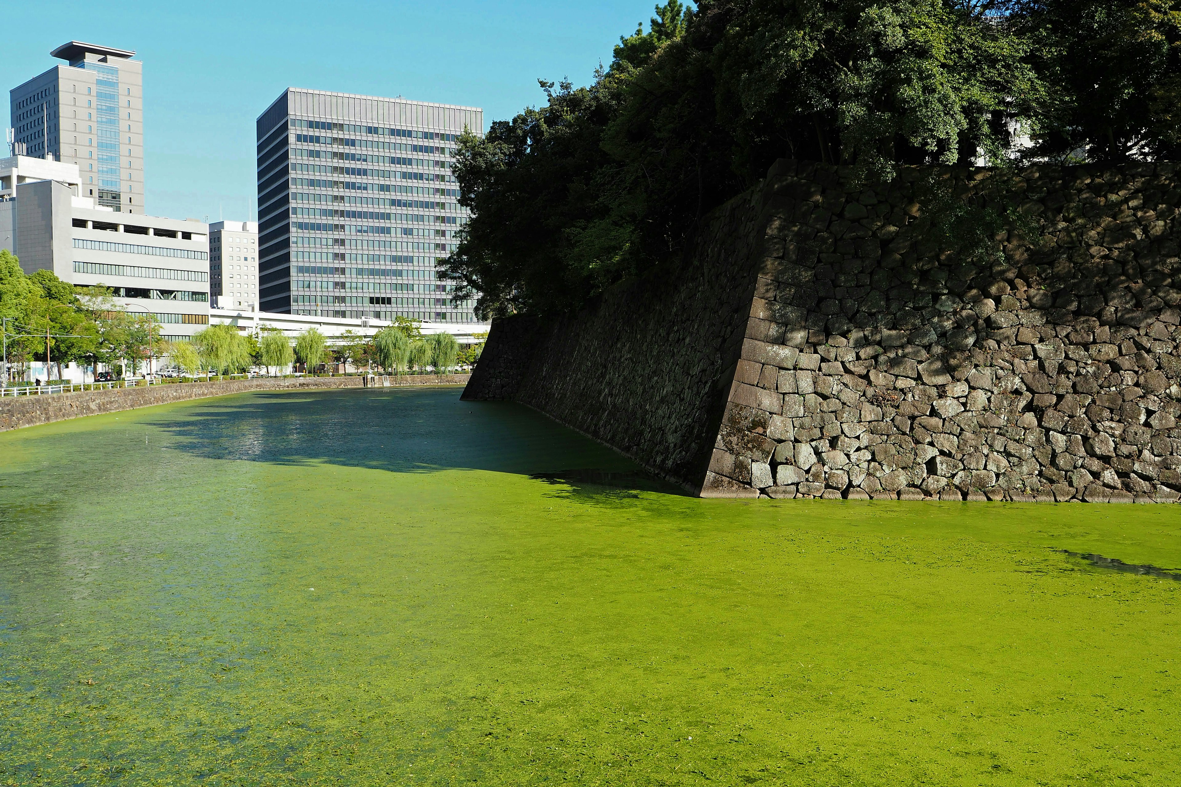 Urban landscape featuring a river with green water and an old stone moat