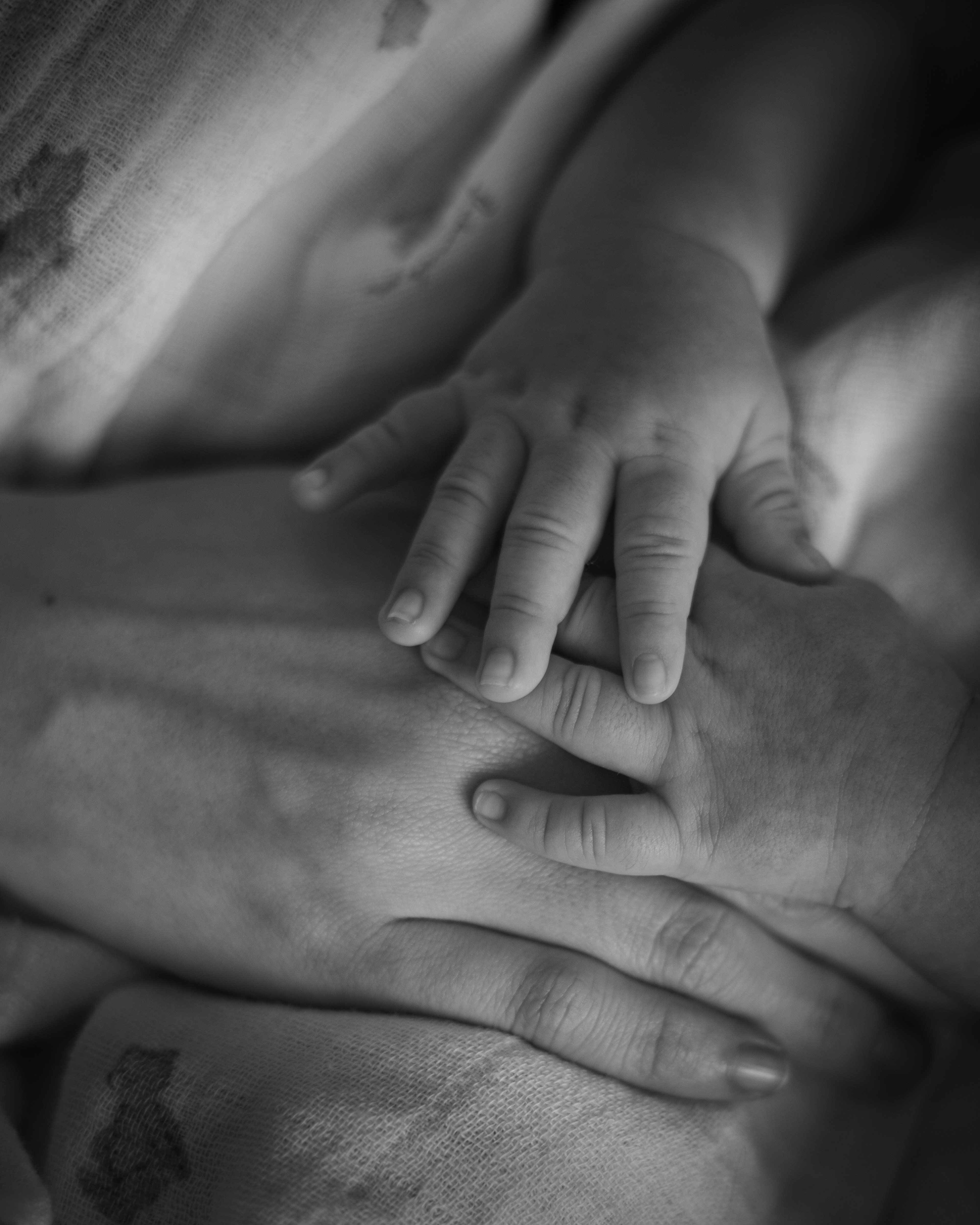 Black and white photo of a baby hand overlapping an adult hand