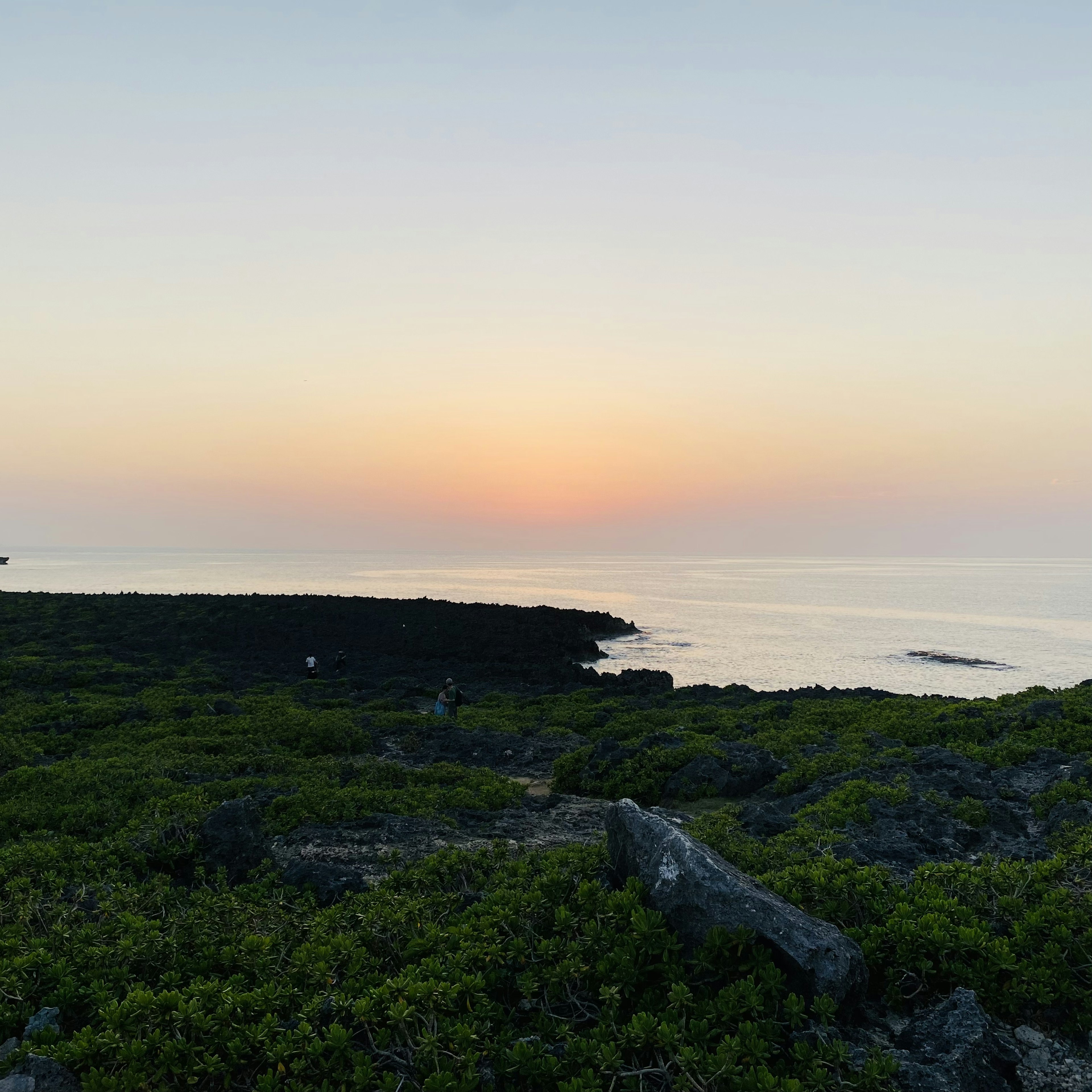 Küstenlandschaft bei Sonnenuntergang mit üppigem Grün und felsigem Gelände