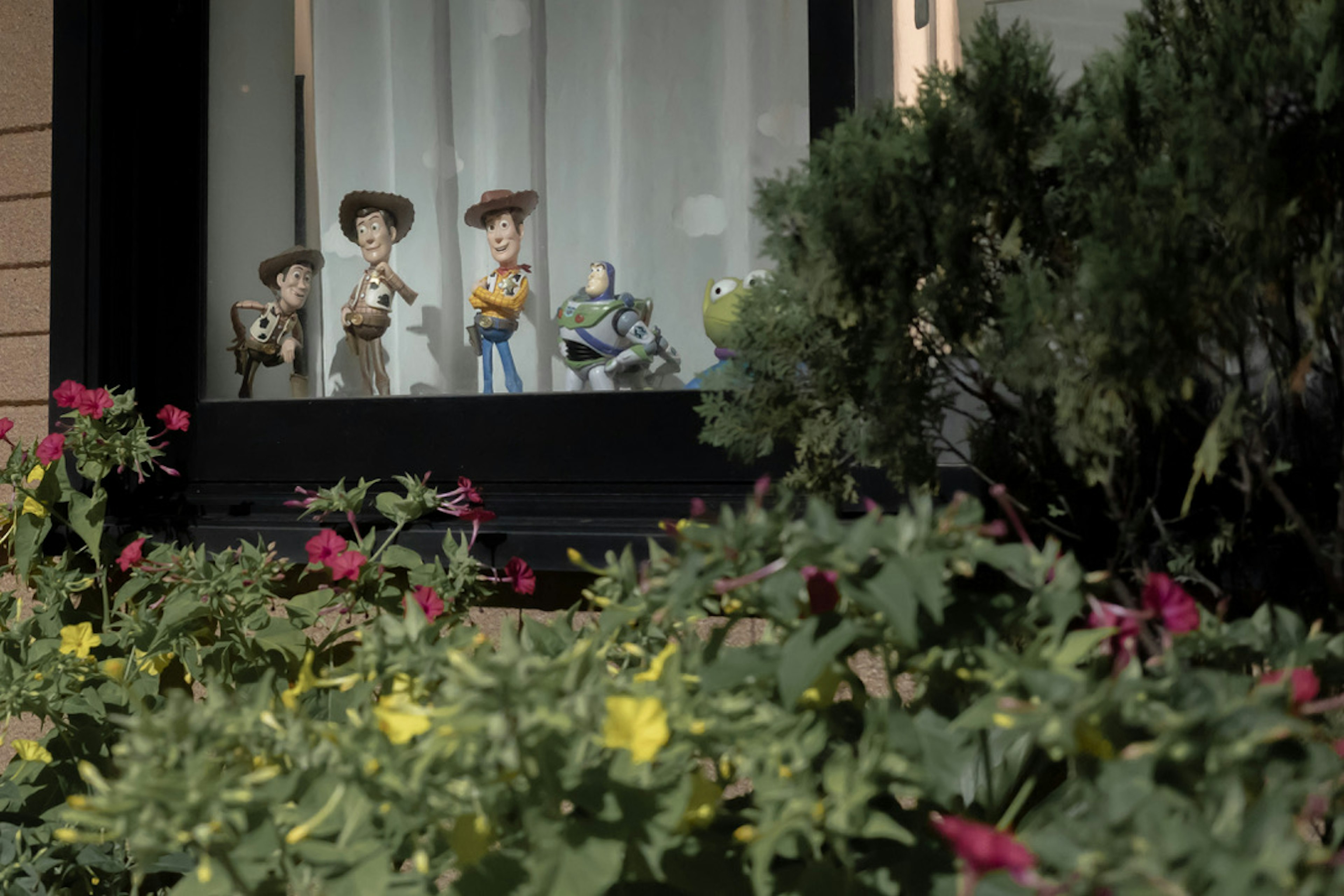 Personnages de Toy Story exposés dans une fenêtre avec des fleurs vibrantes à l'extérieur