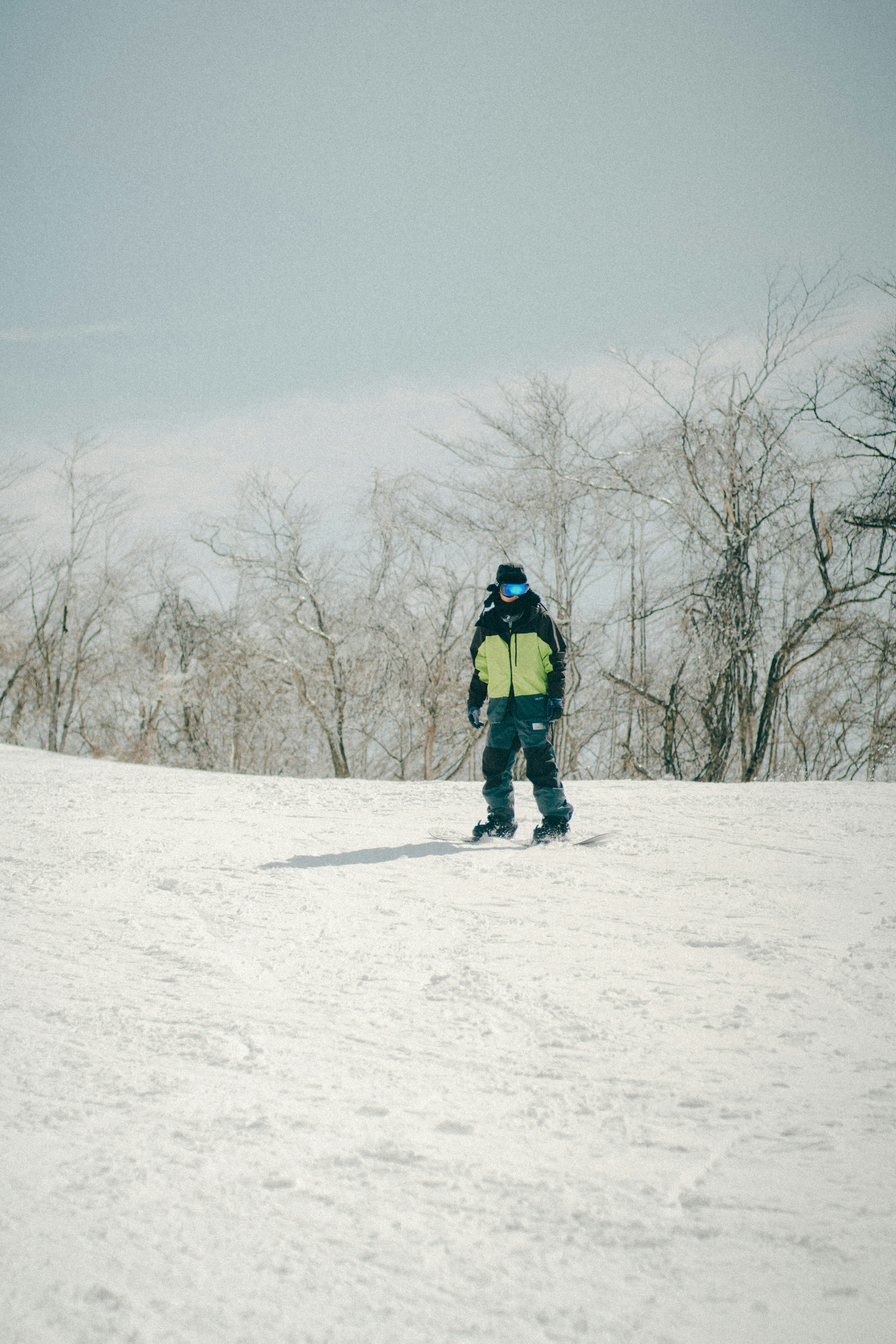 雪の斜面を滑る子供の姿