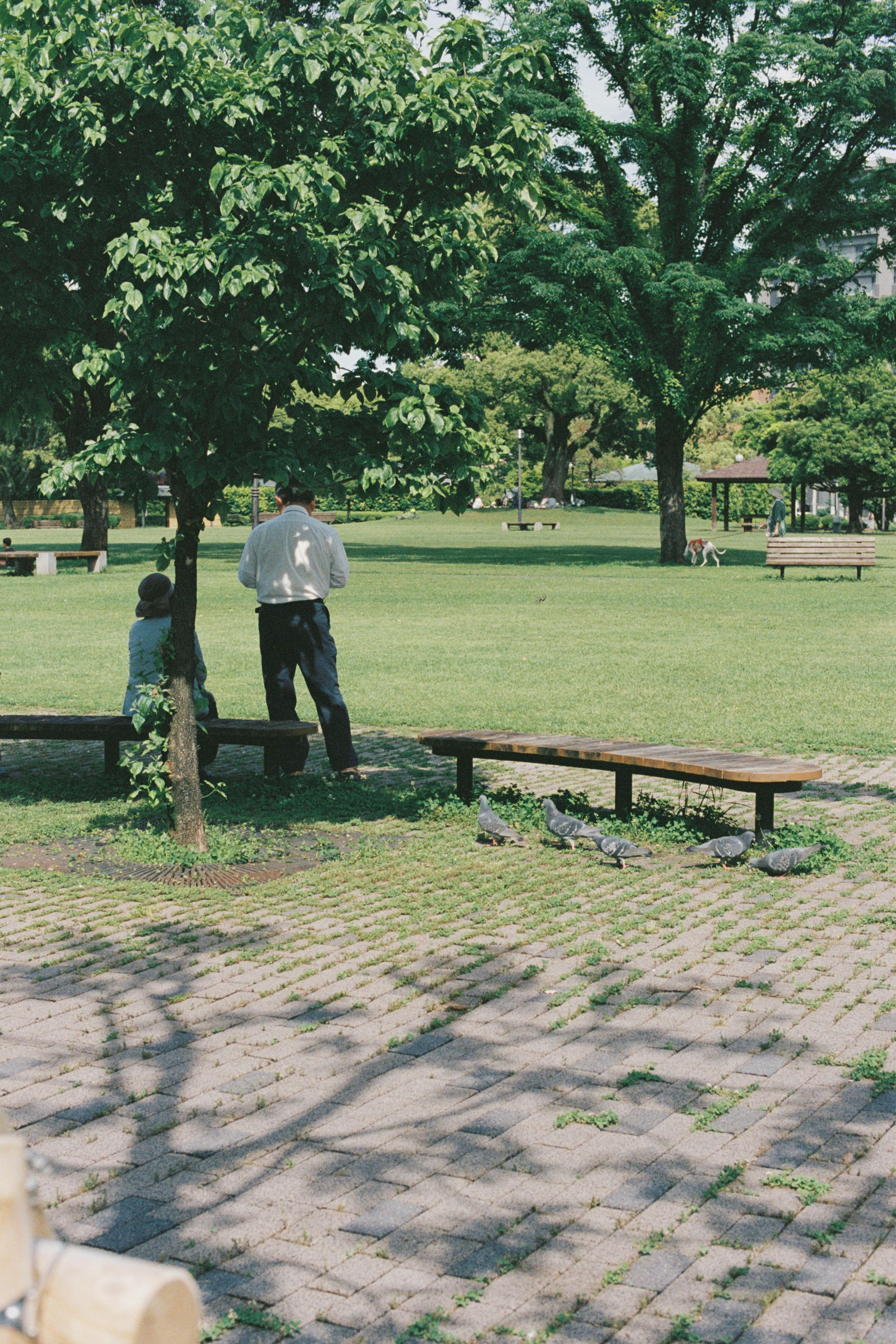 A child and an adult near a tree in a park