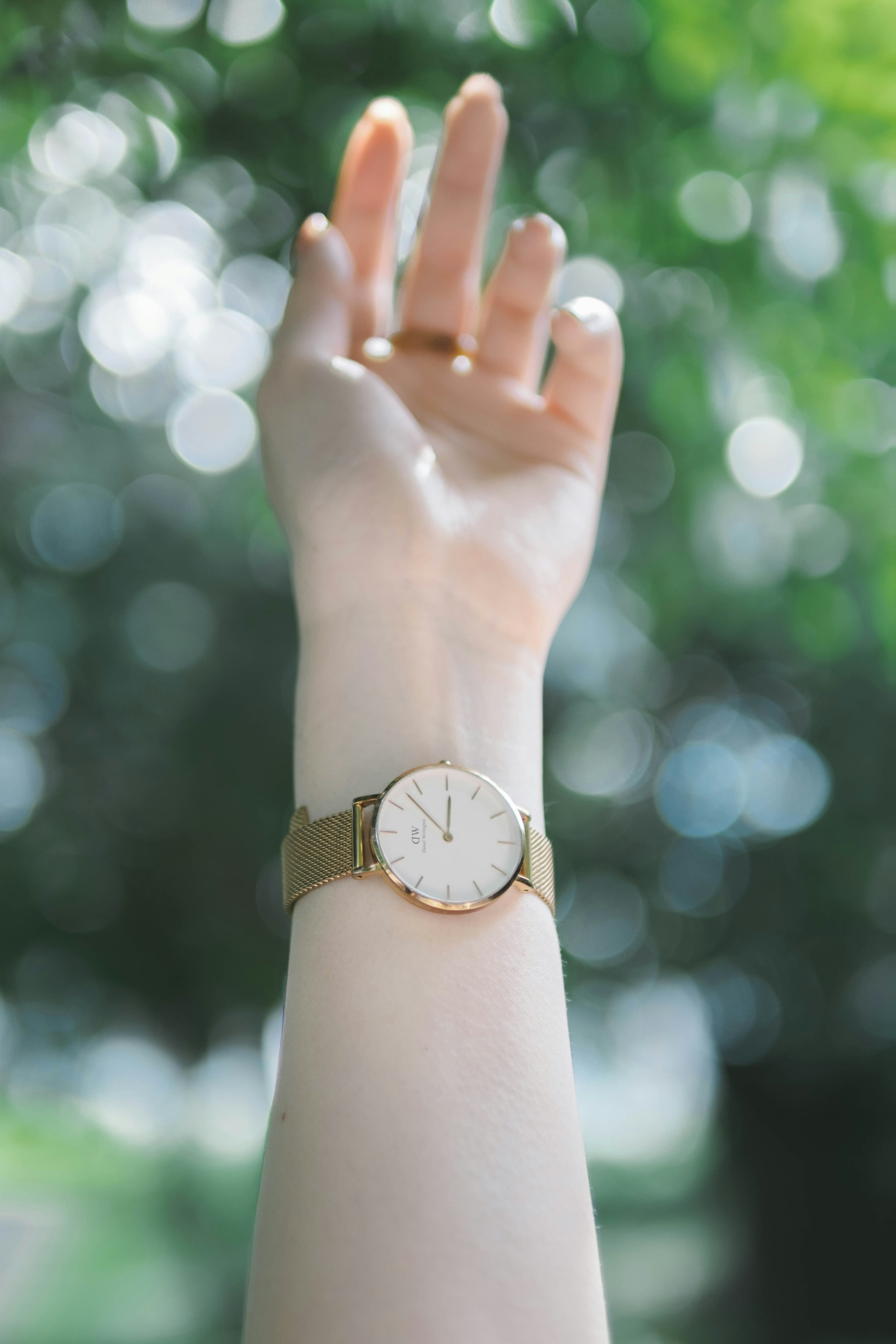 Una mano levantada muestra un reloj dorado en la muñeca de una mujer con un fondo borroso de follaje verde