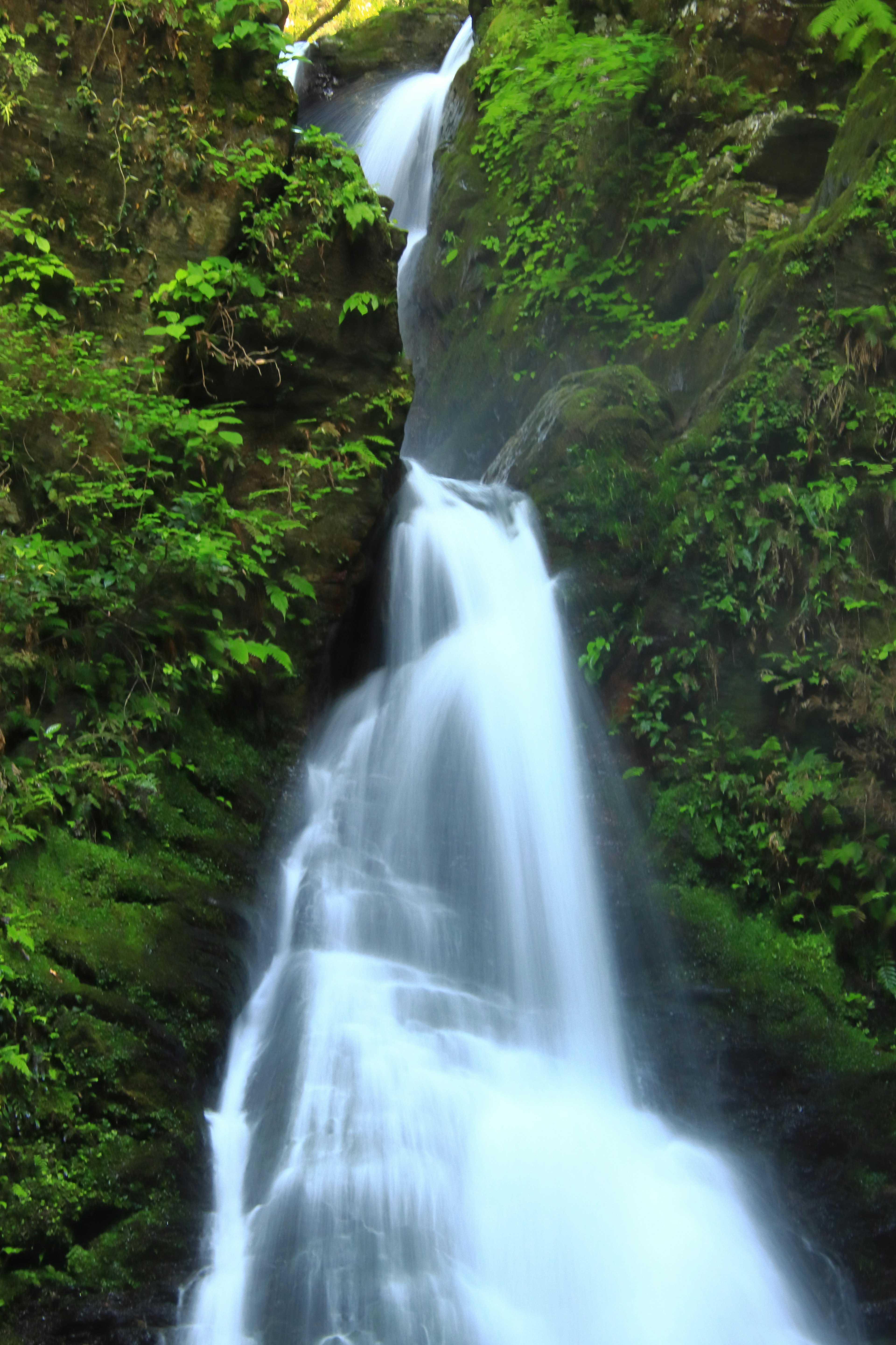 Beautiful waterfall flowing through a lush green canyon