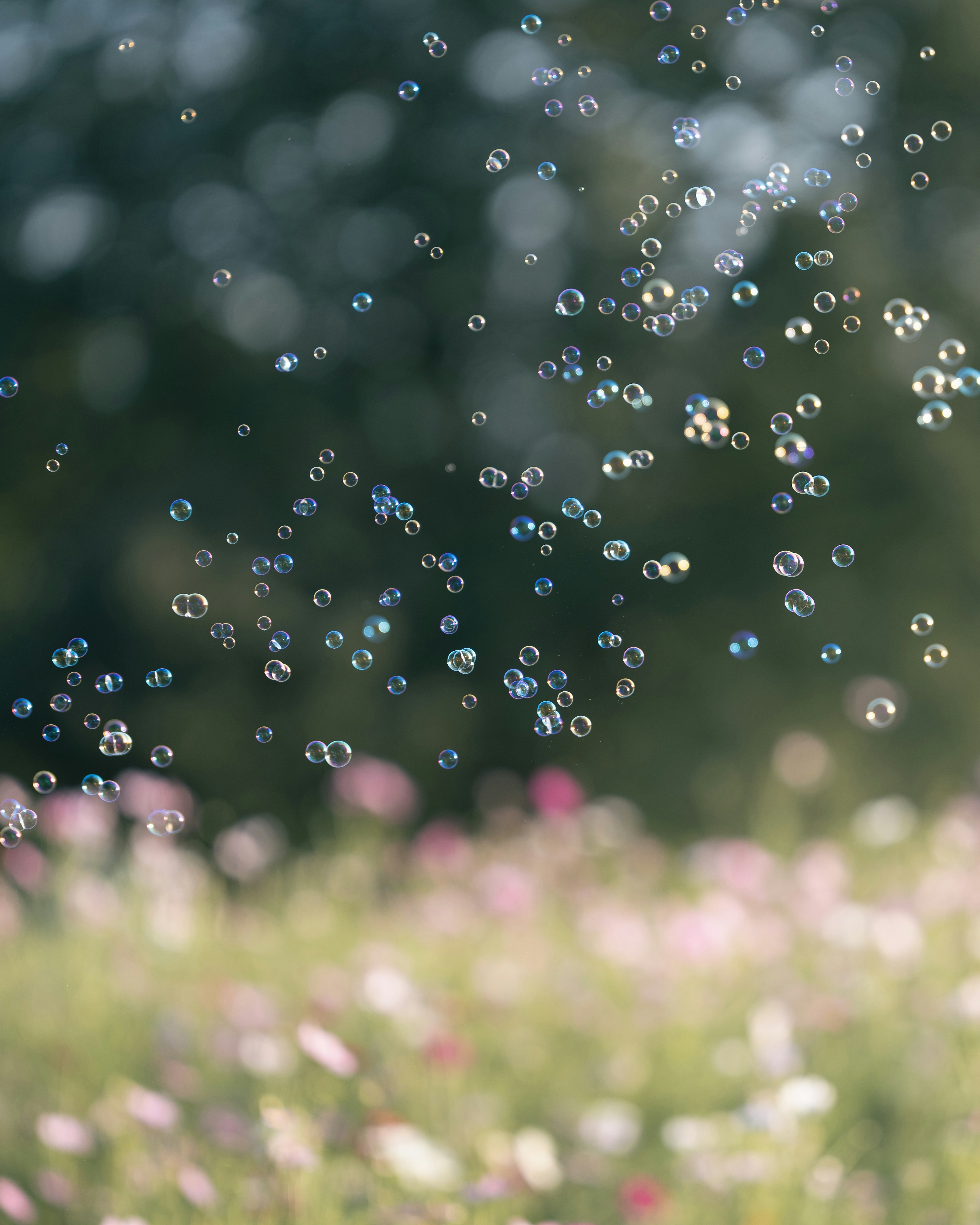 Numerose bolle che fluttuano su uno sfondo di fiori colorati