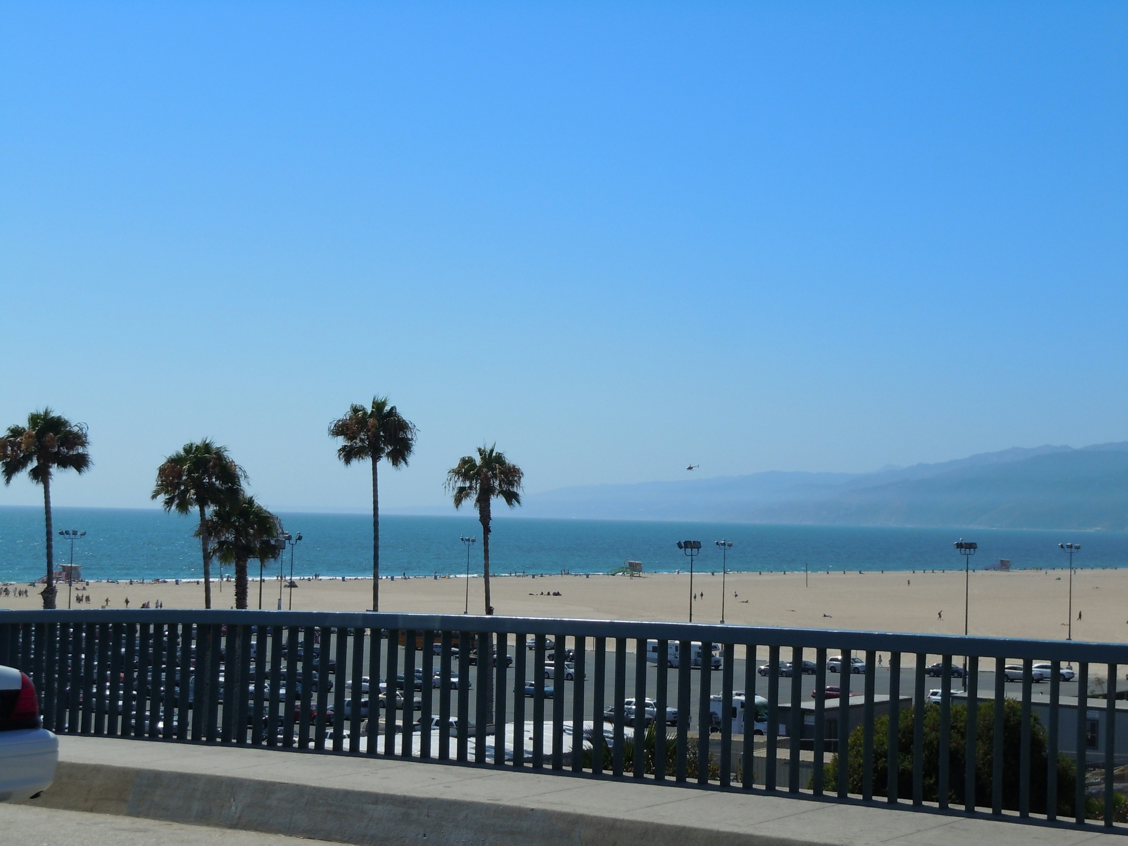 Vue de la plage avec des palmiers sous un ciel bleu clair et l'océan