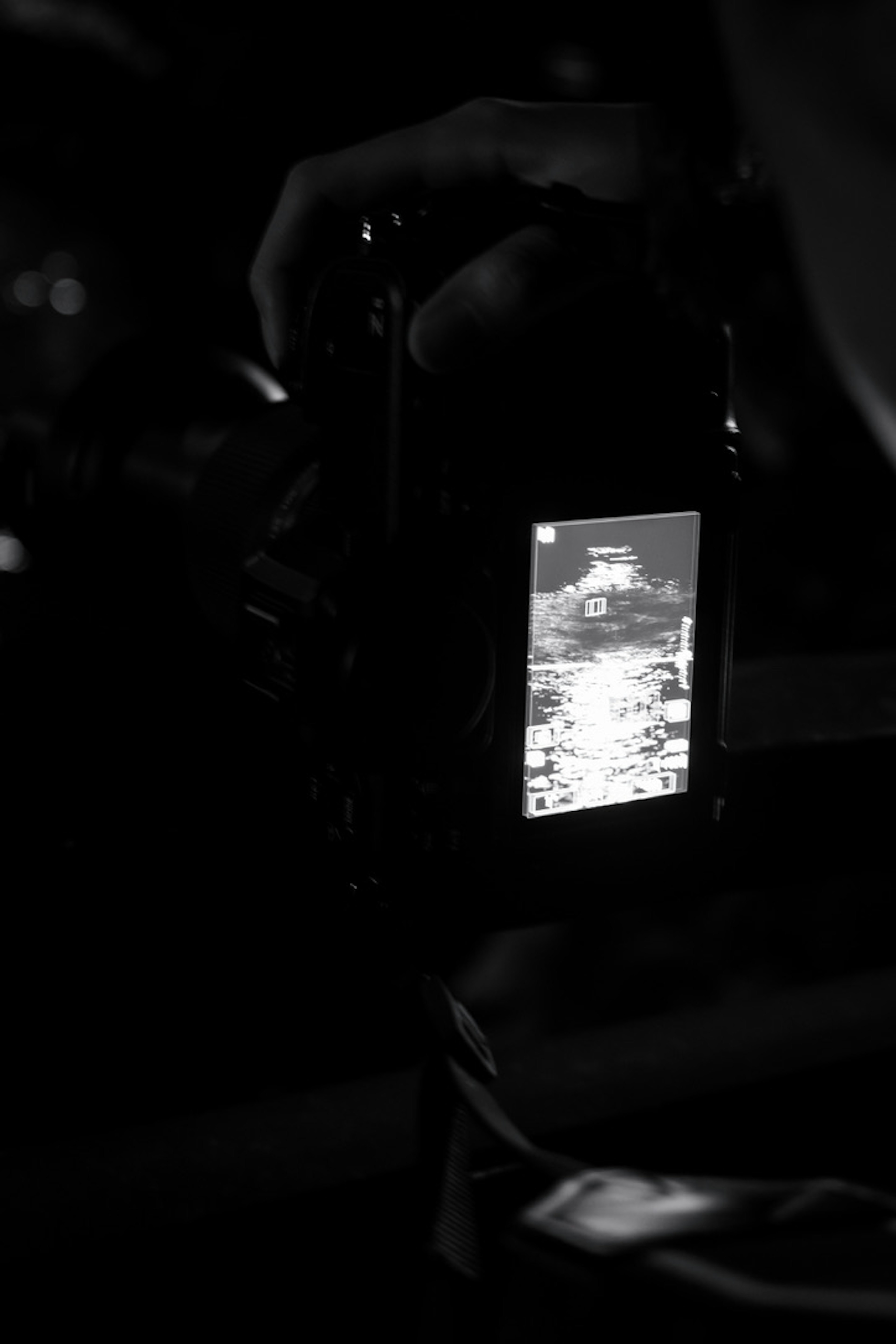 Black and white image of a camera display showing a water surface