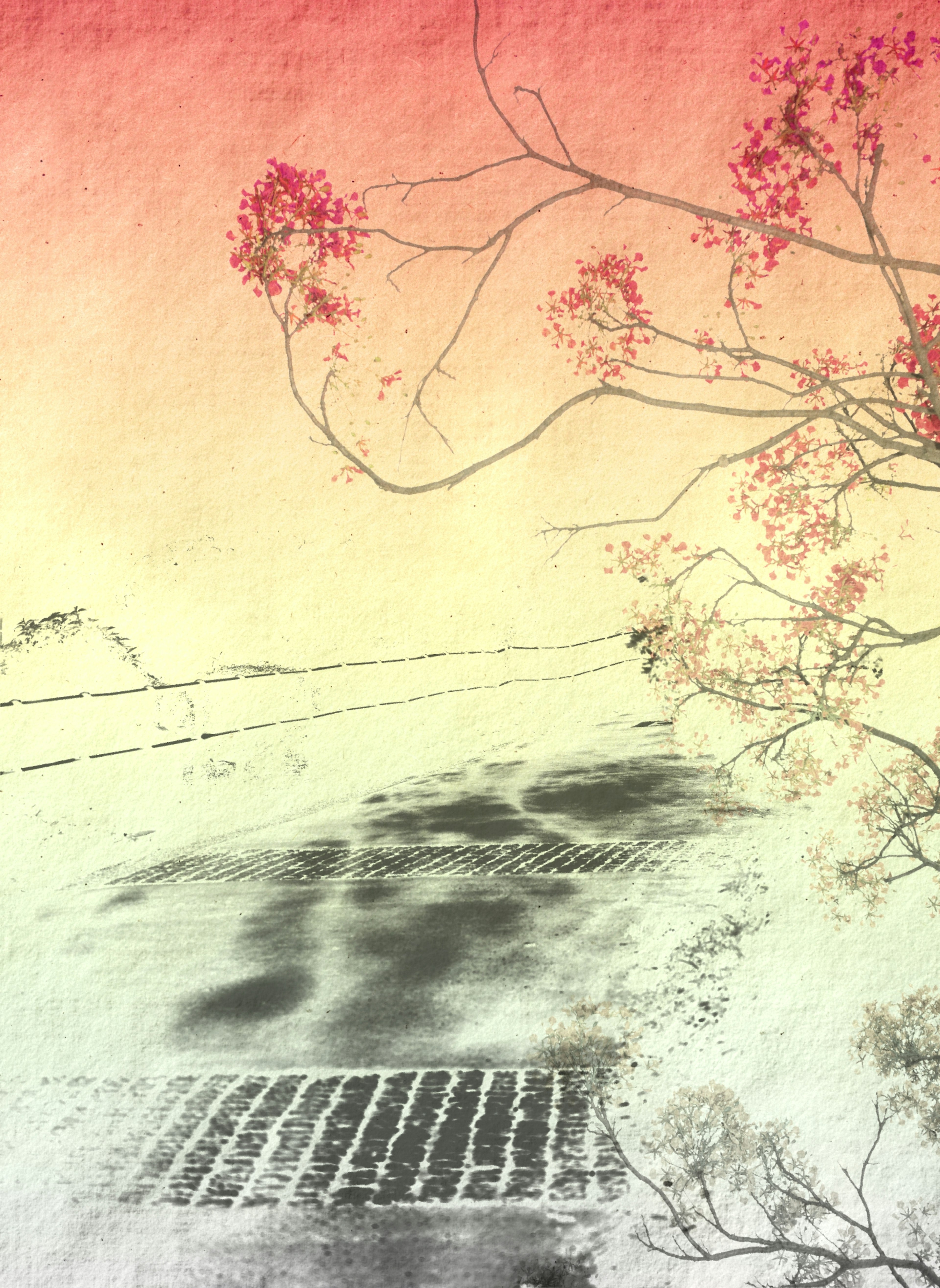 Artistic image featuring a faded background with tree branches and flowers