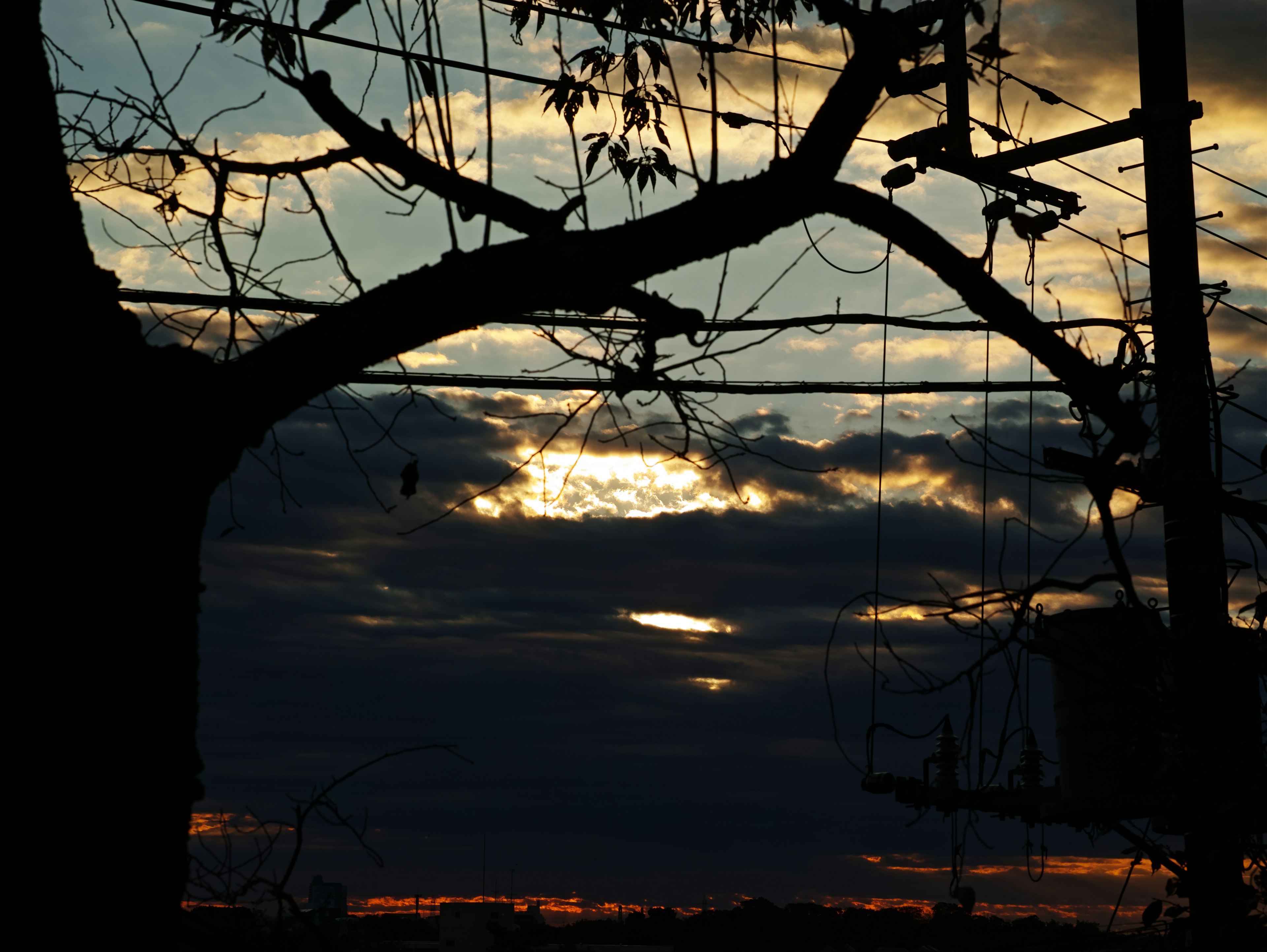 Silhouette von Baumästen und Stromleitungen gegen einen Dämmerungshimmel