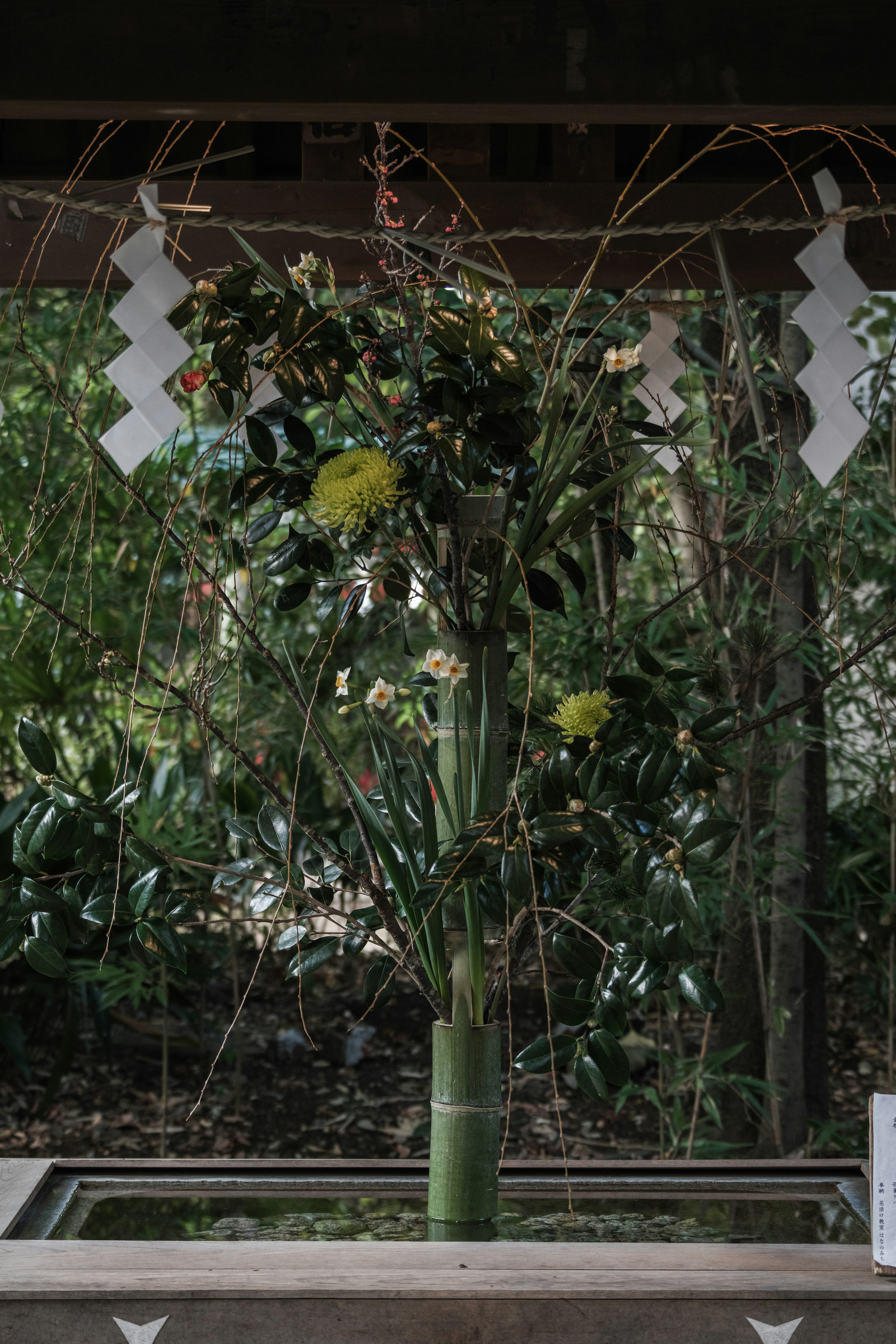 A shrine decoration featuring bamboo and foliage