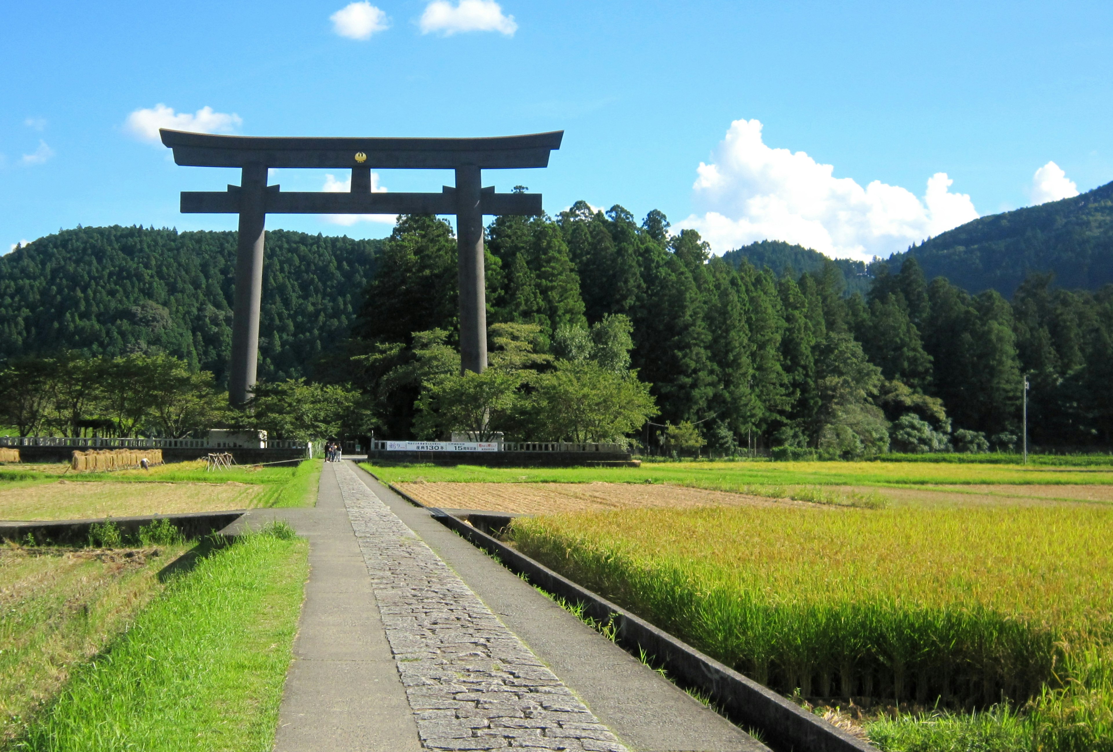 Gerbang torii besar di bawah langit biru dikelilingi oleh sawah hijau subur