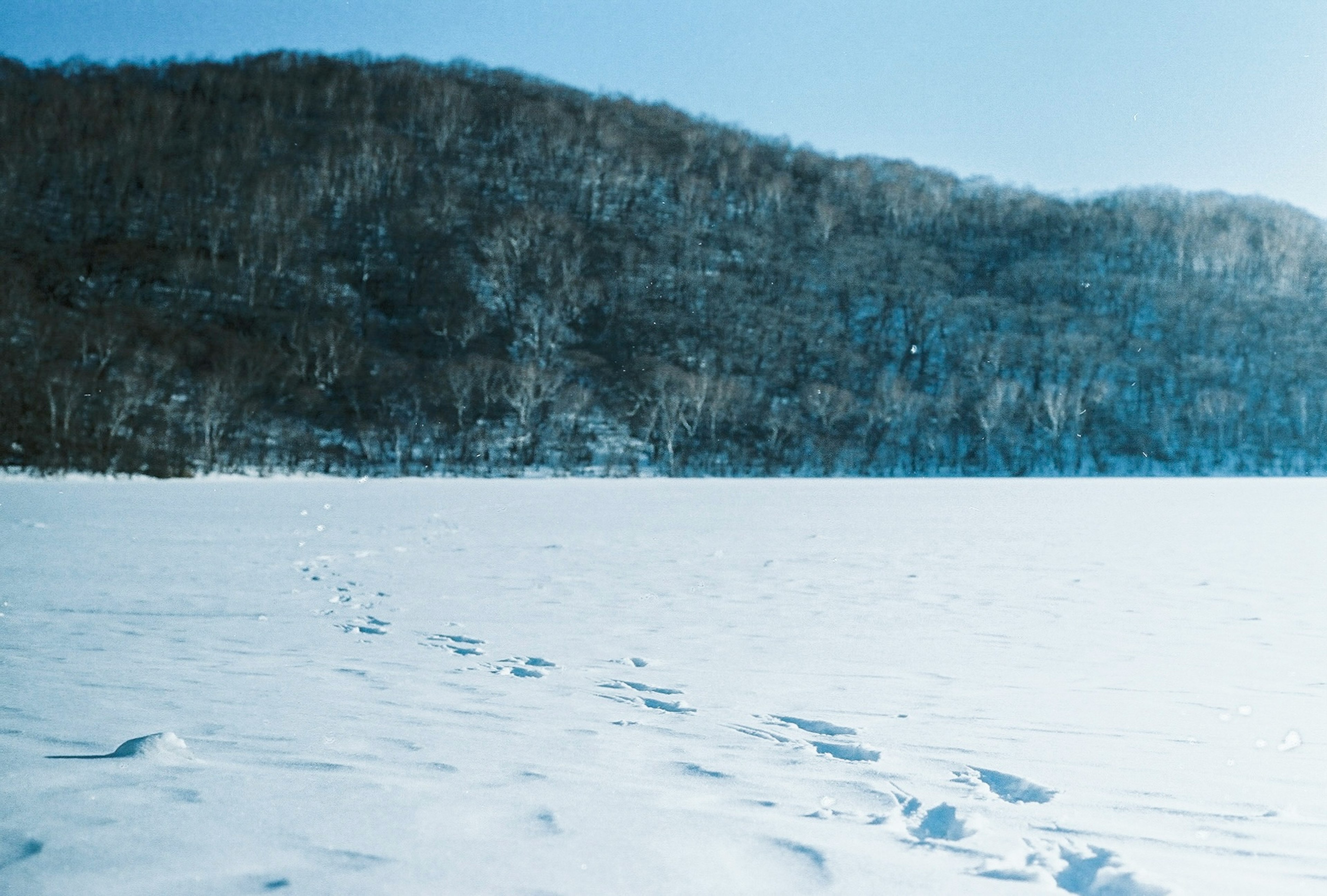 Paysage enneigé avec des traces visibles