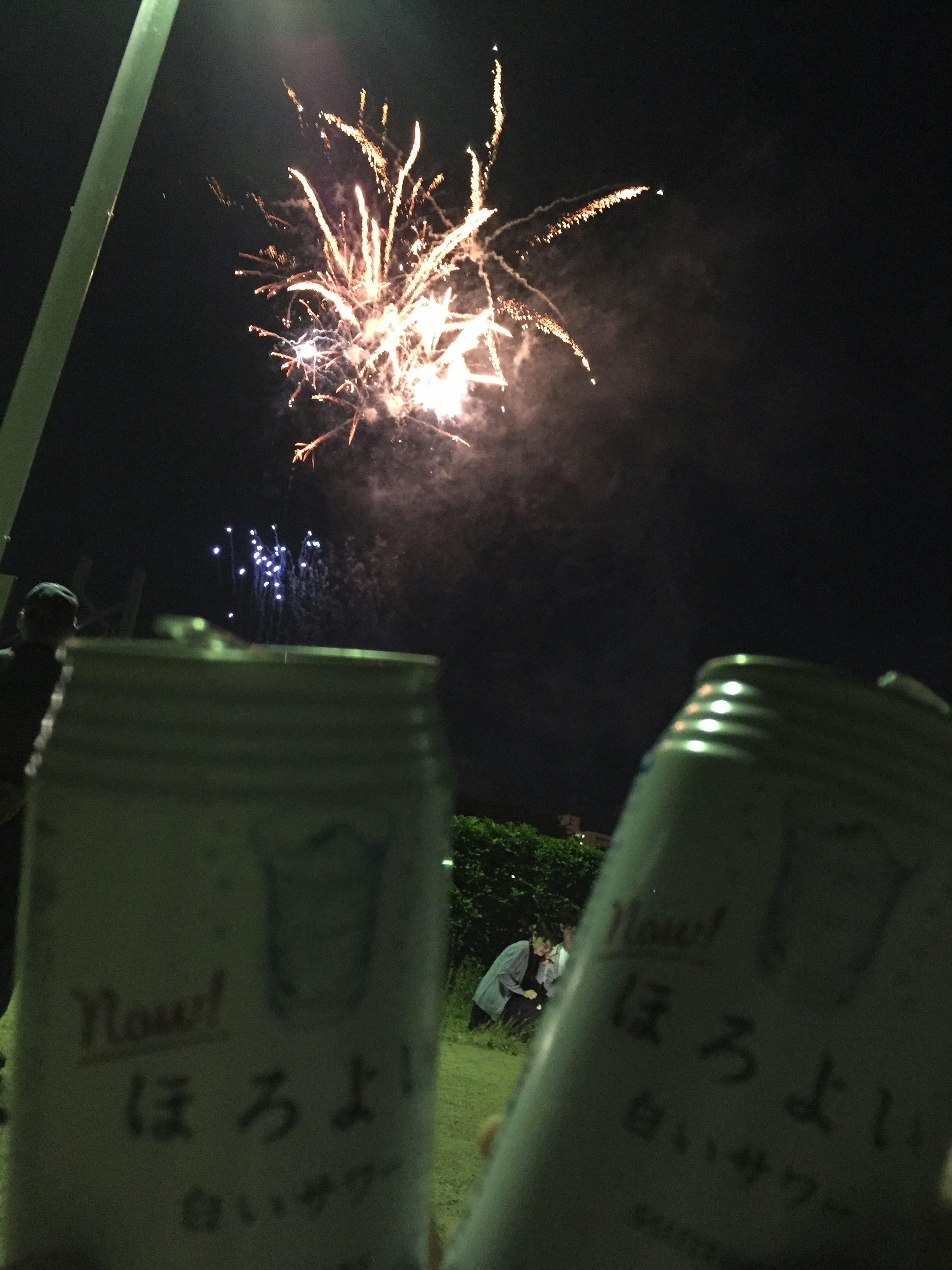 I fuochi d'artificio illuminano il cielo notturno con due lattine di birra in primo piano