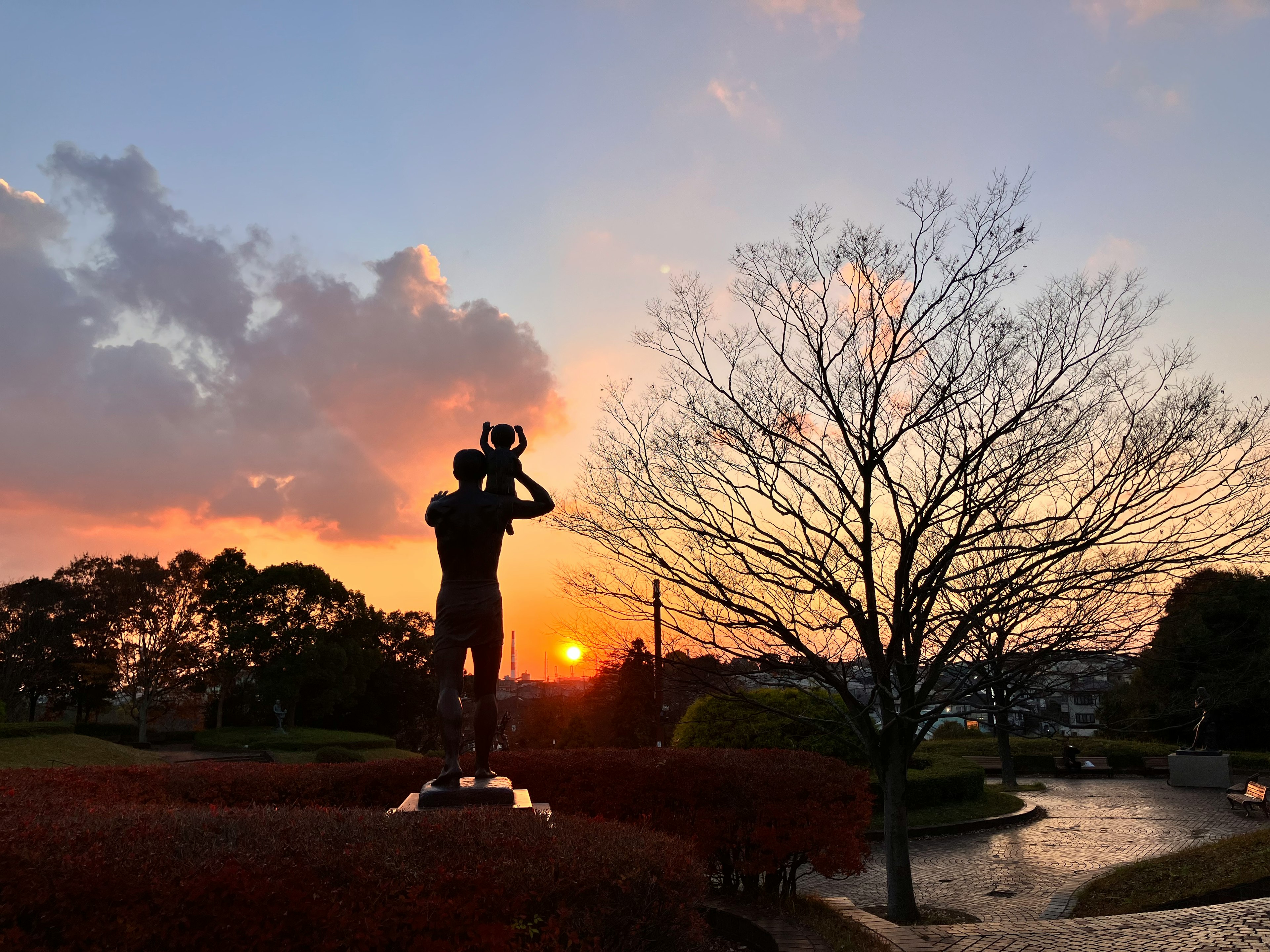 Silhouette patung memegang kamera melawan matahari terbenam dan pohon