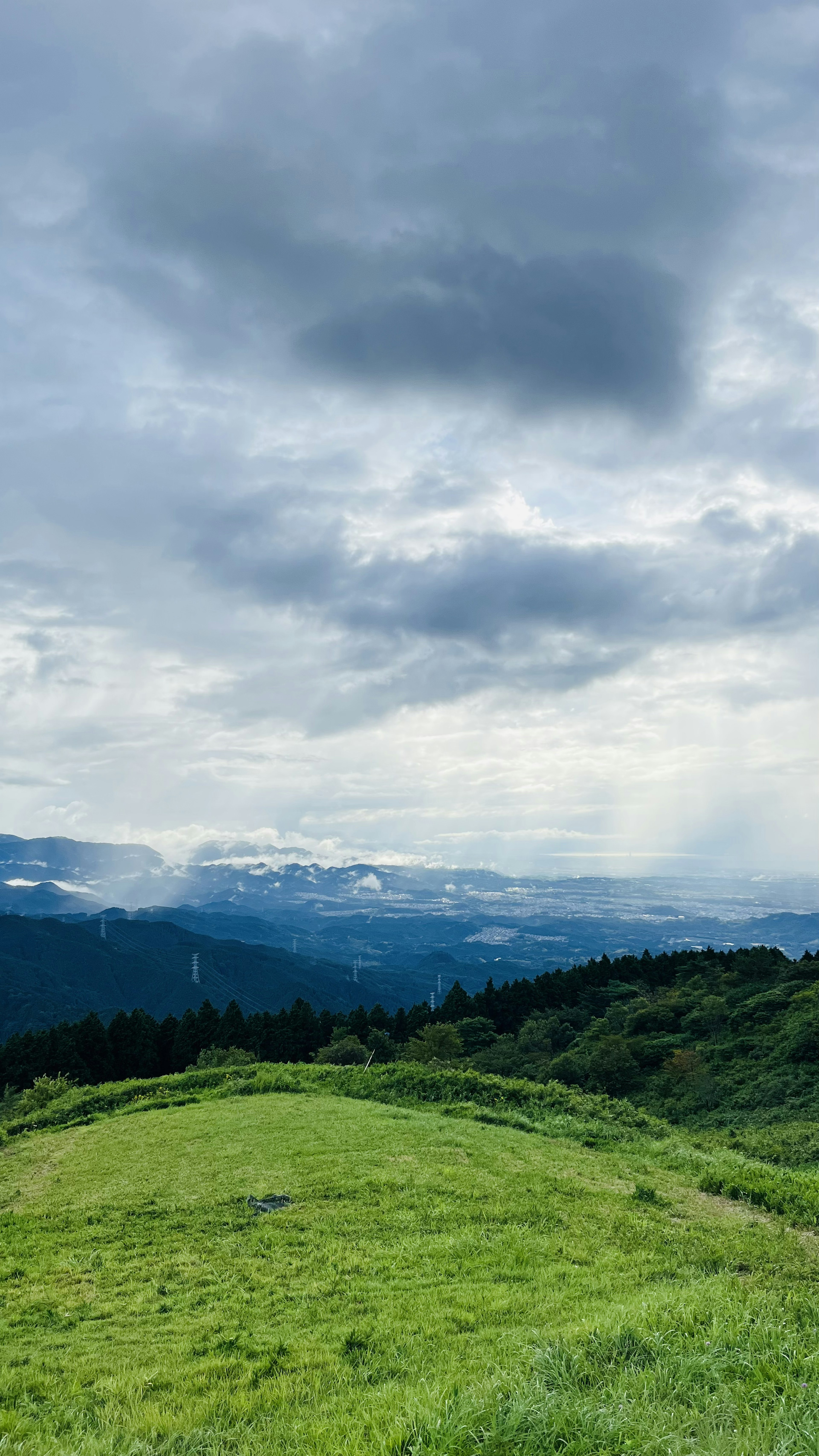 緑の草原と雲の多い空の風景