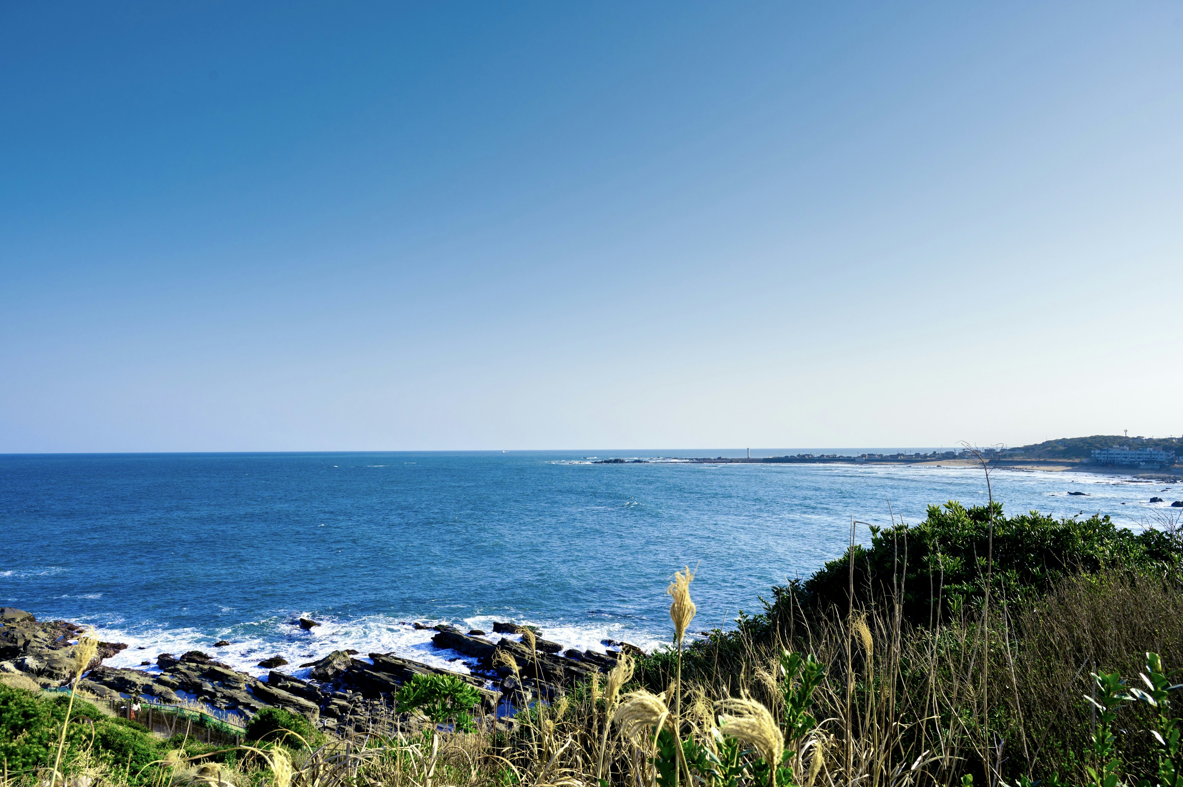 青い海と穏やかな空が広がる風景 近くに草が生い茂る