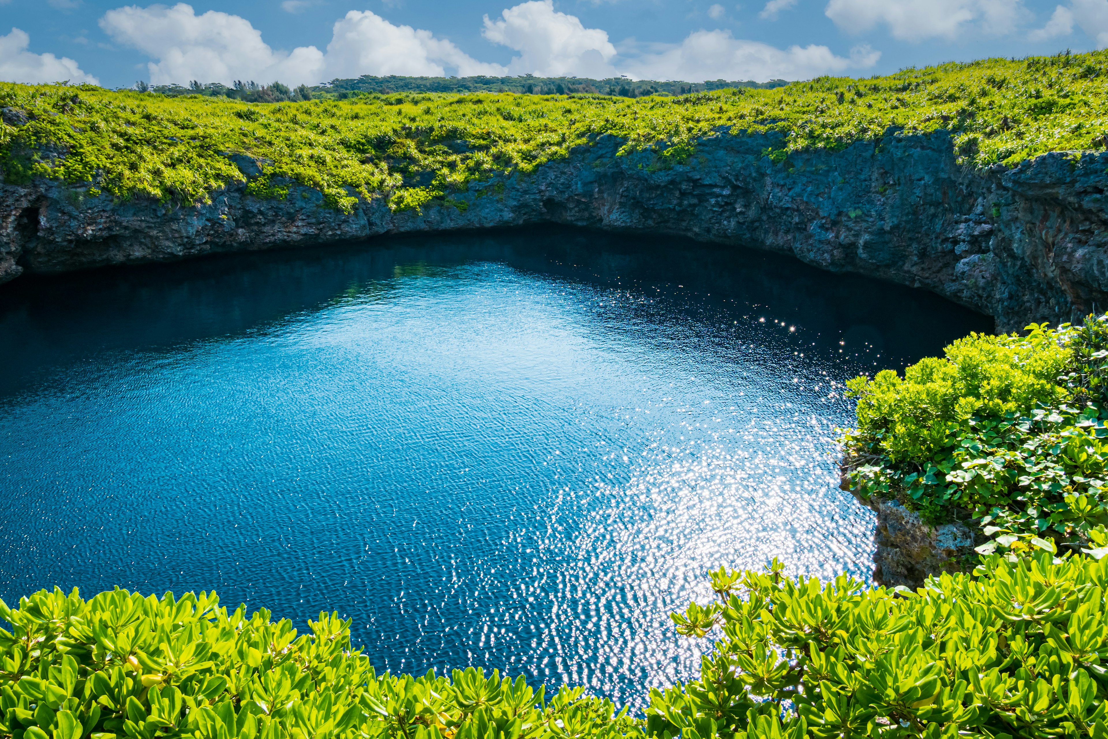 Un hermoso lago azul rodeado de exuberante vegetación