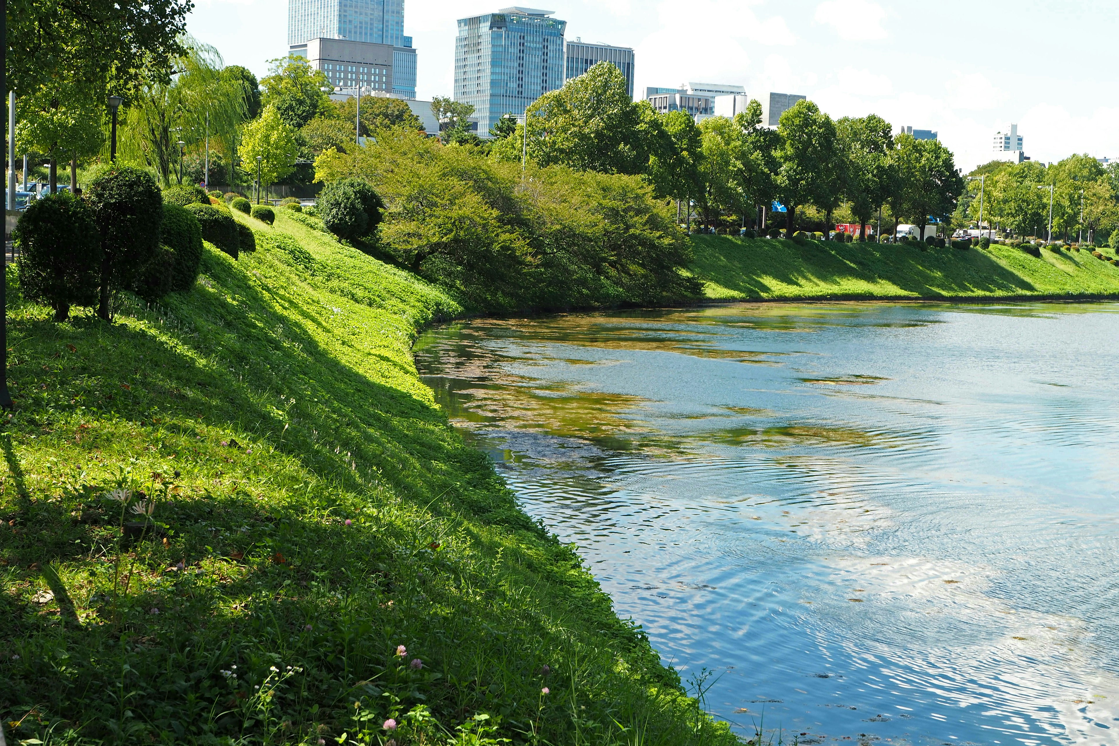 Pemandangan sungai dan taman hijau dengan gedung pencakar langit di latar belakang