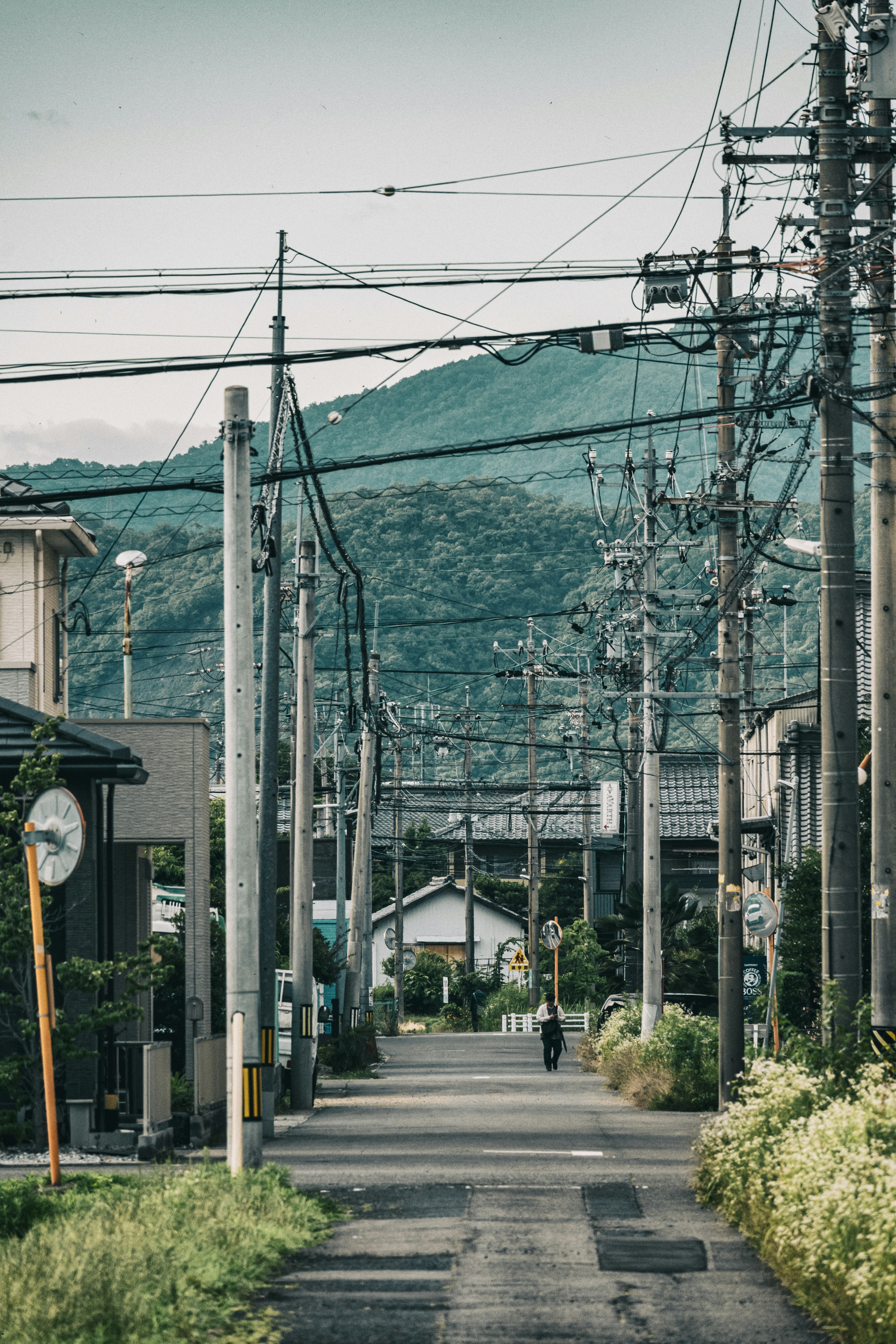 静かな街道に沿った住宅と山々の背景