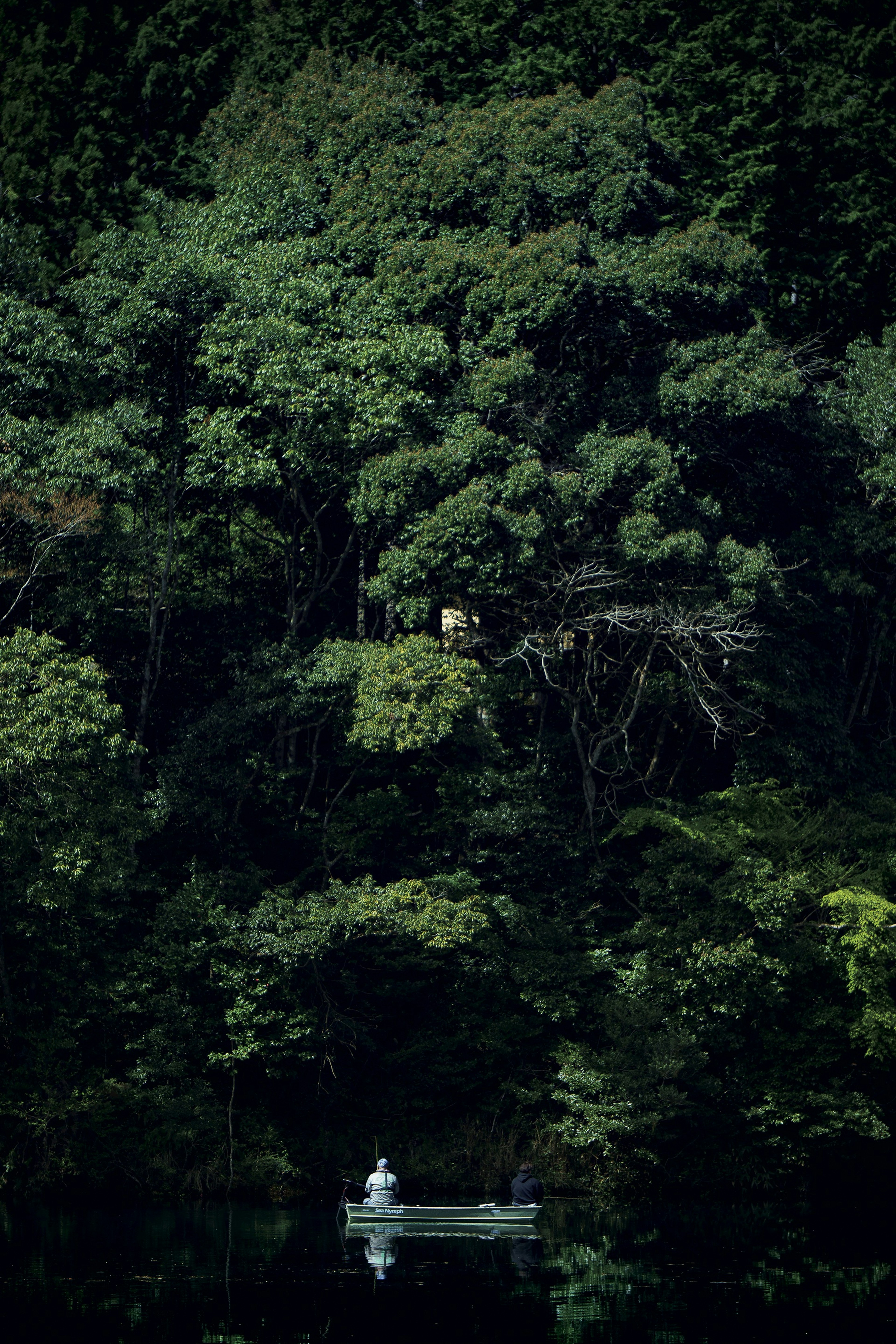 A small boat floating on a serene lake surrounded by lush green trees