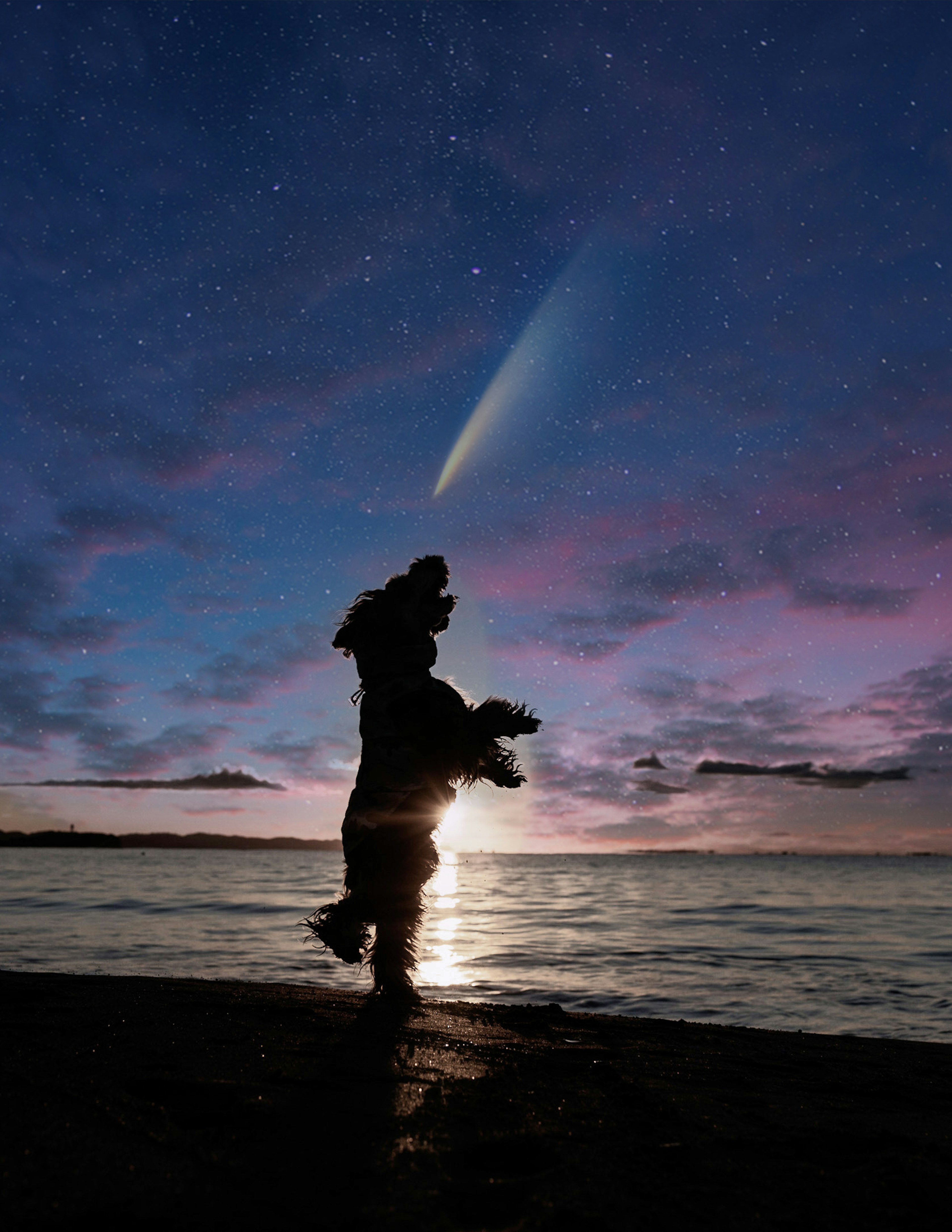 Silhouette d'une personne se tenant sur la plage sous une comète brillante dans le ciel nocturne