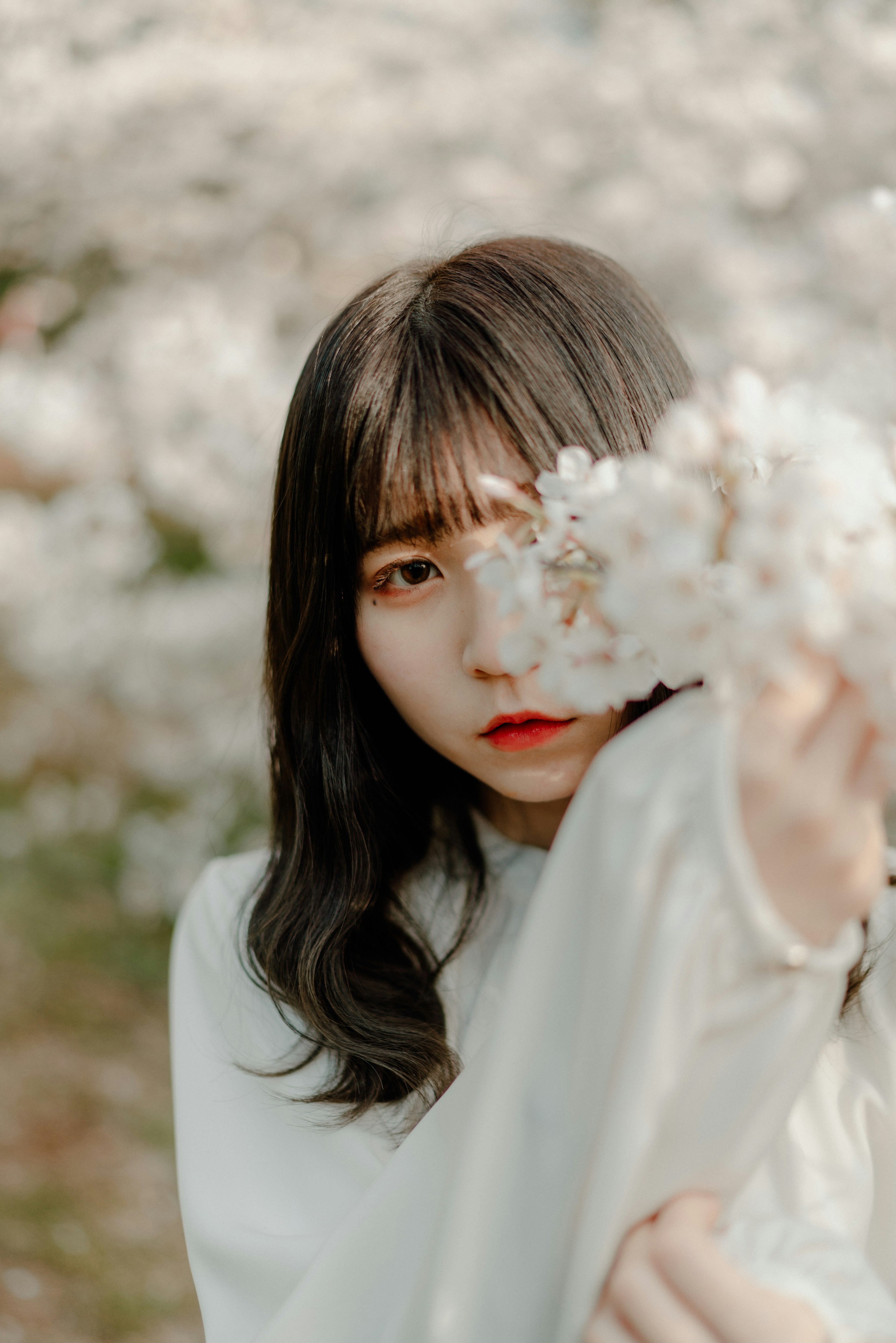 Ritratto di una donna che tiene fiori bianchi con alberi di ciliegio sfocati sullo sfondo