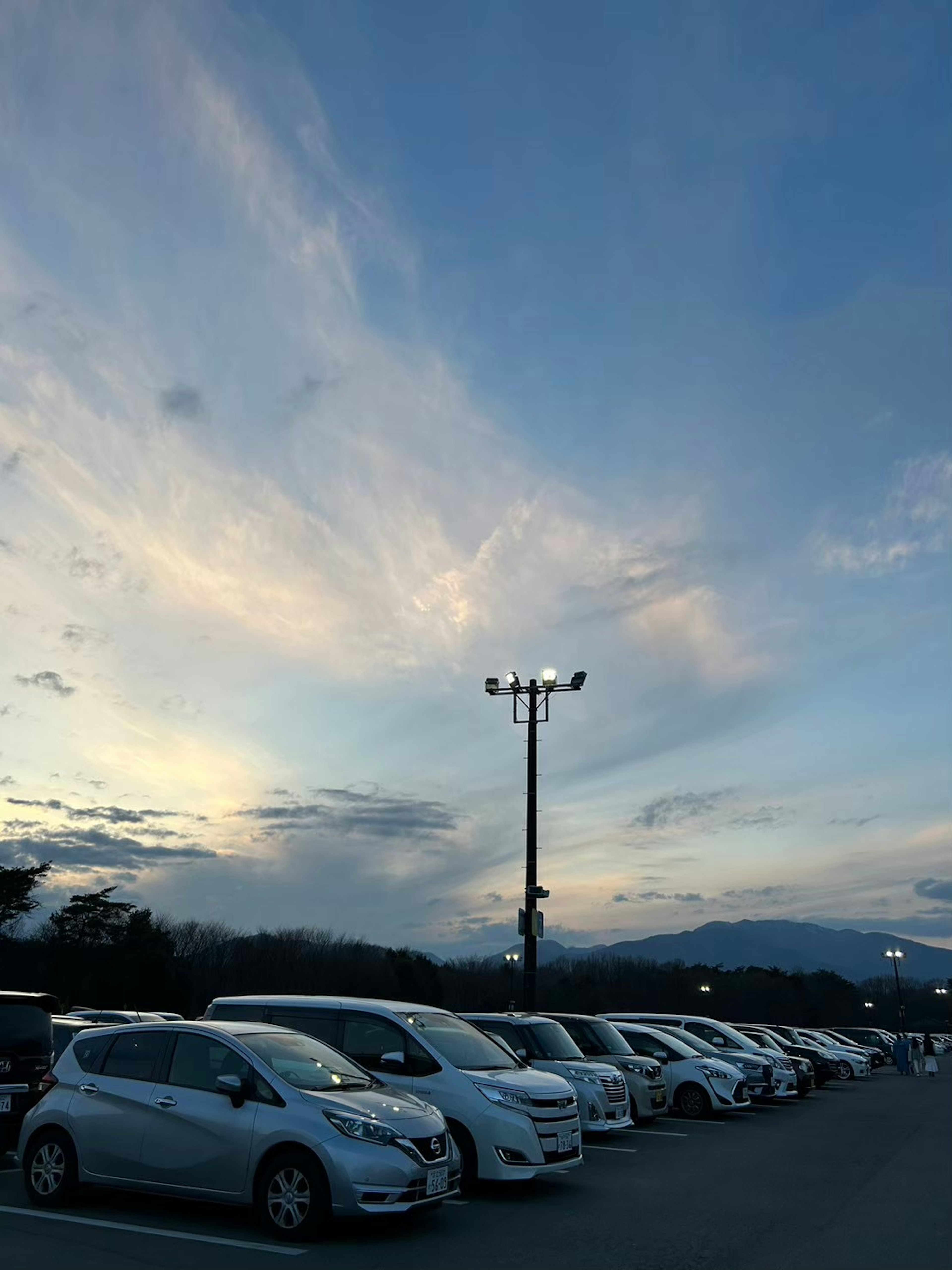 青い空と白い雲の下に並ぶ白い車がある駐車場の風景