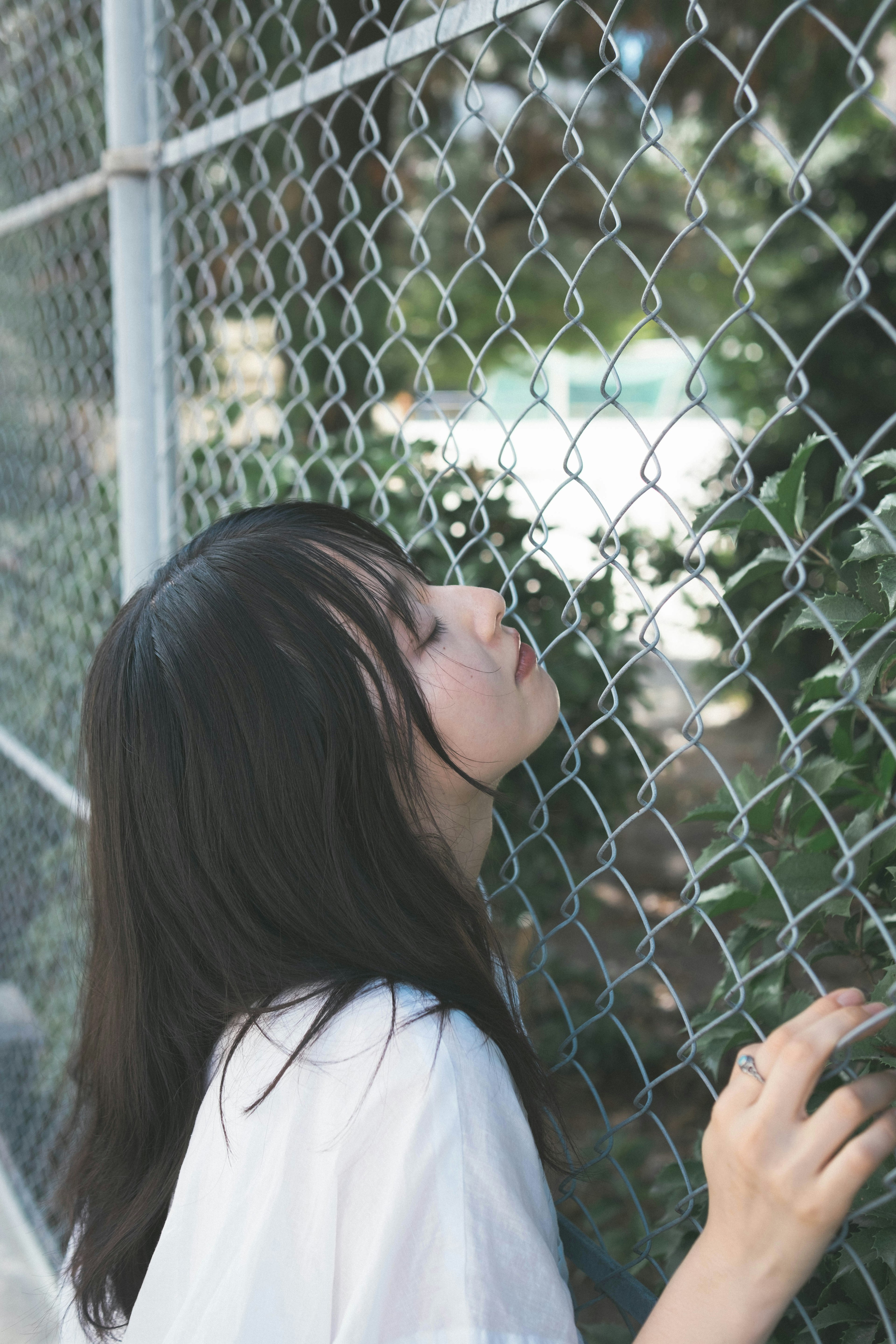 フェンス越しに植物を見つめる女性の側面