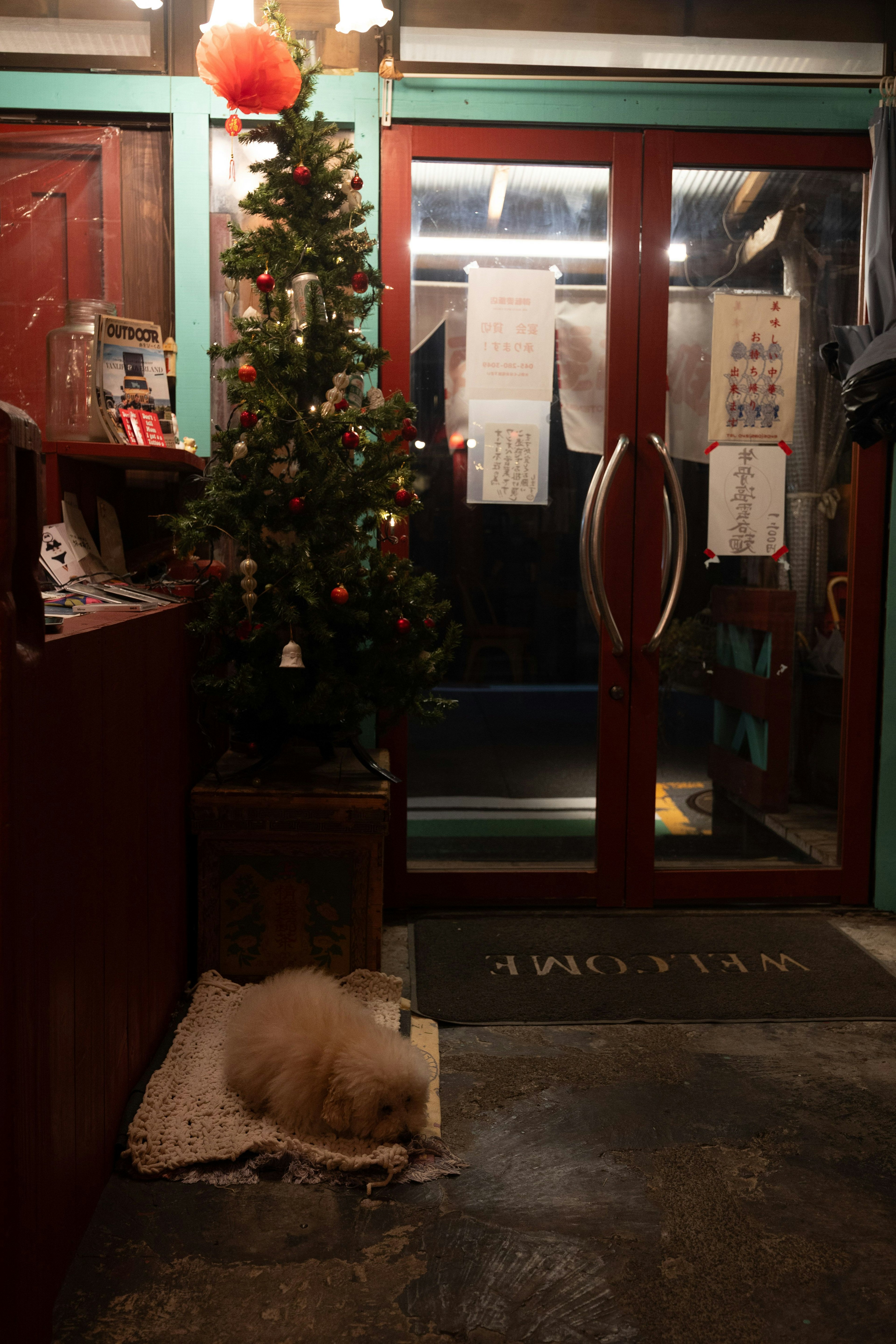 Interior acogedor con un árbol de Navidad y un perro durmiendo frente a una puerta roja