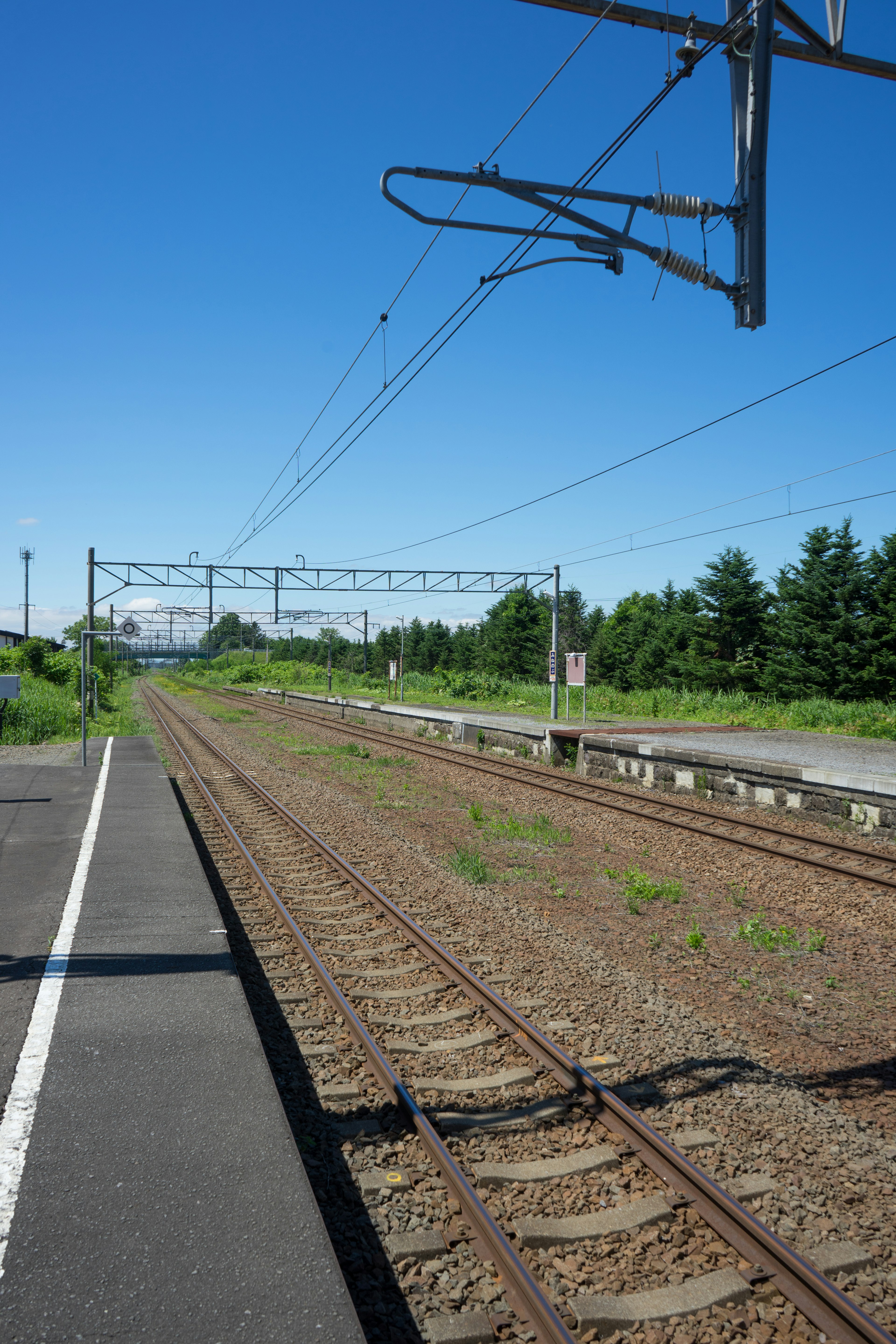 Vías de tren bajo un cielo azul claro con vegetación