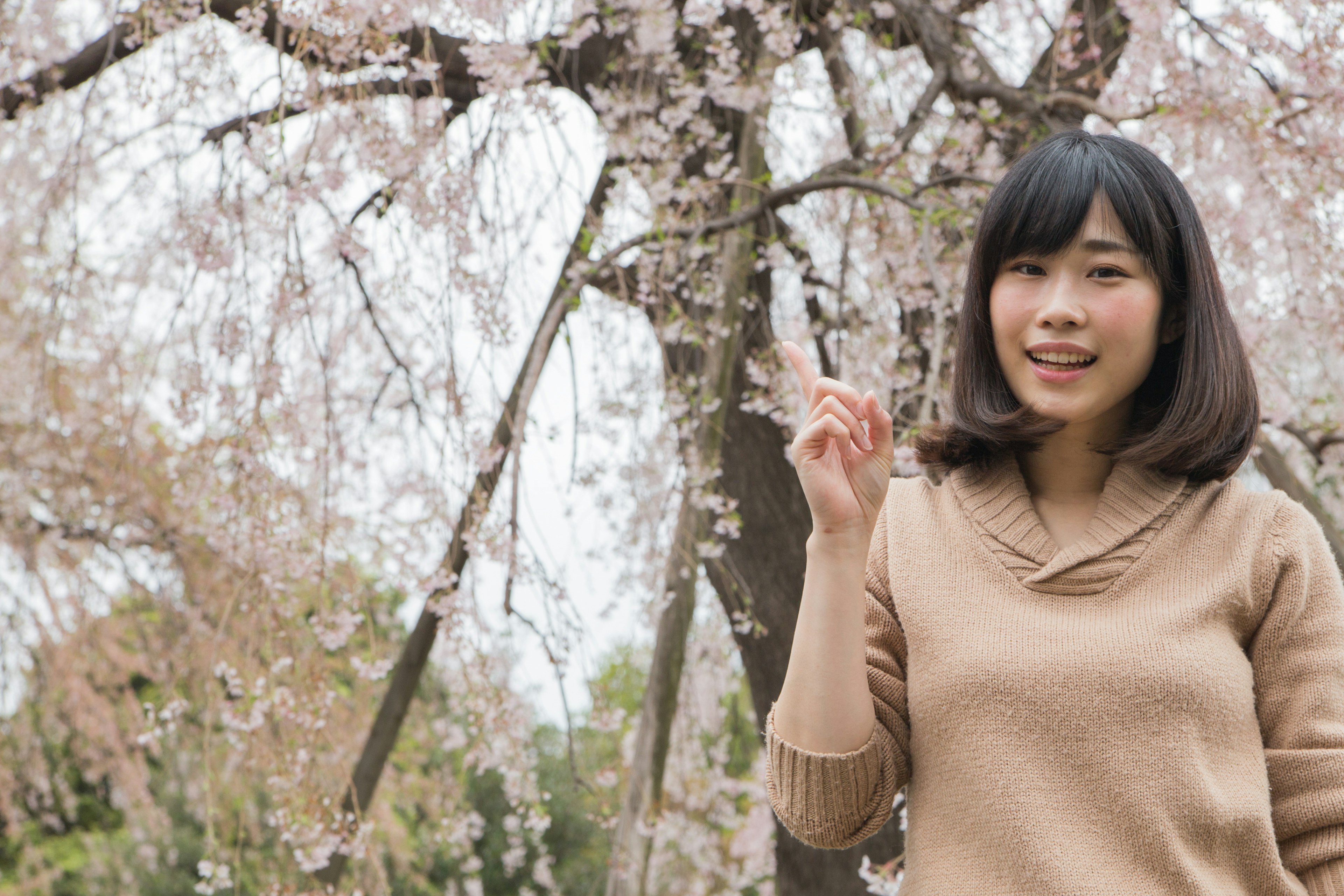 Donna che indica davanti a un albero di ciliegi in fiore