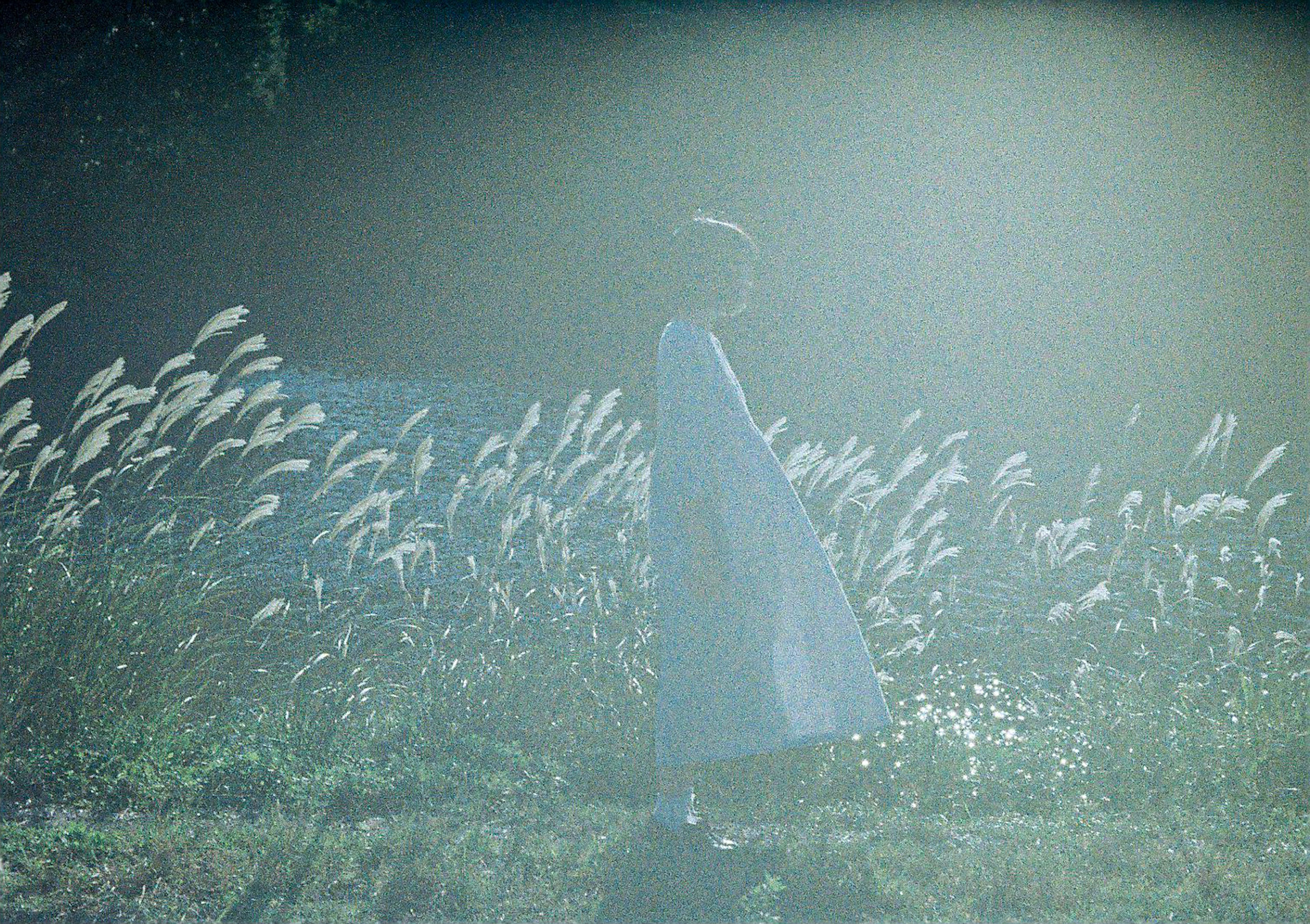 A woman in a white dress walking through a field in soft light