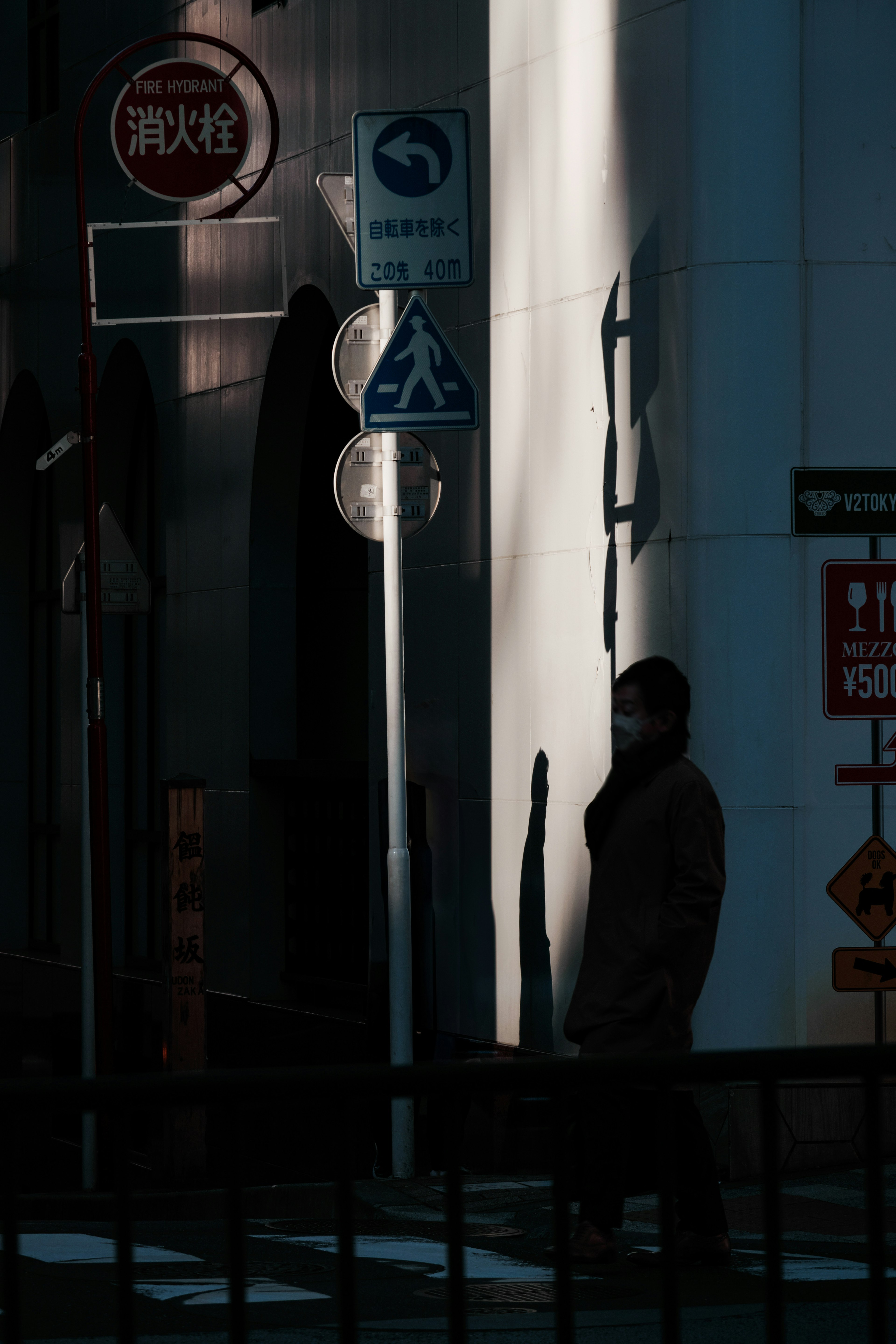 Silhouette of a person standing in a dimly lit street with street signs