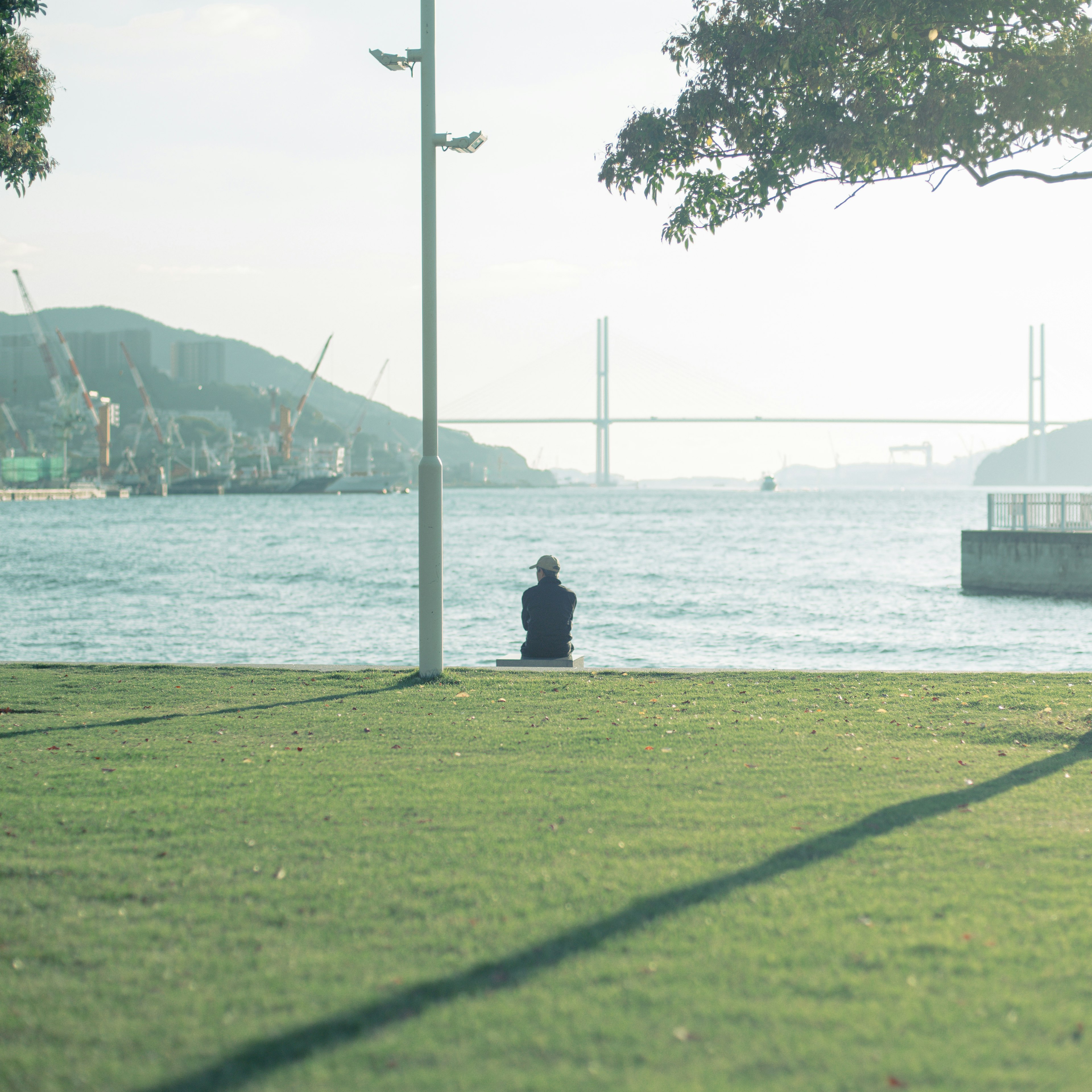 A person sitting by the calm waterfront with a bridge in the background