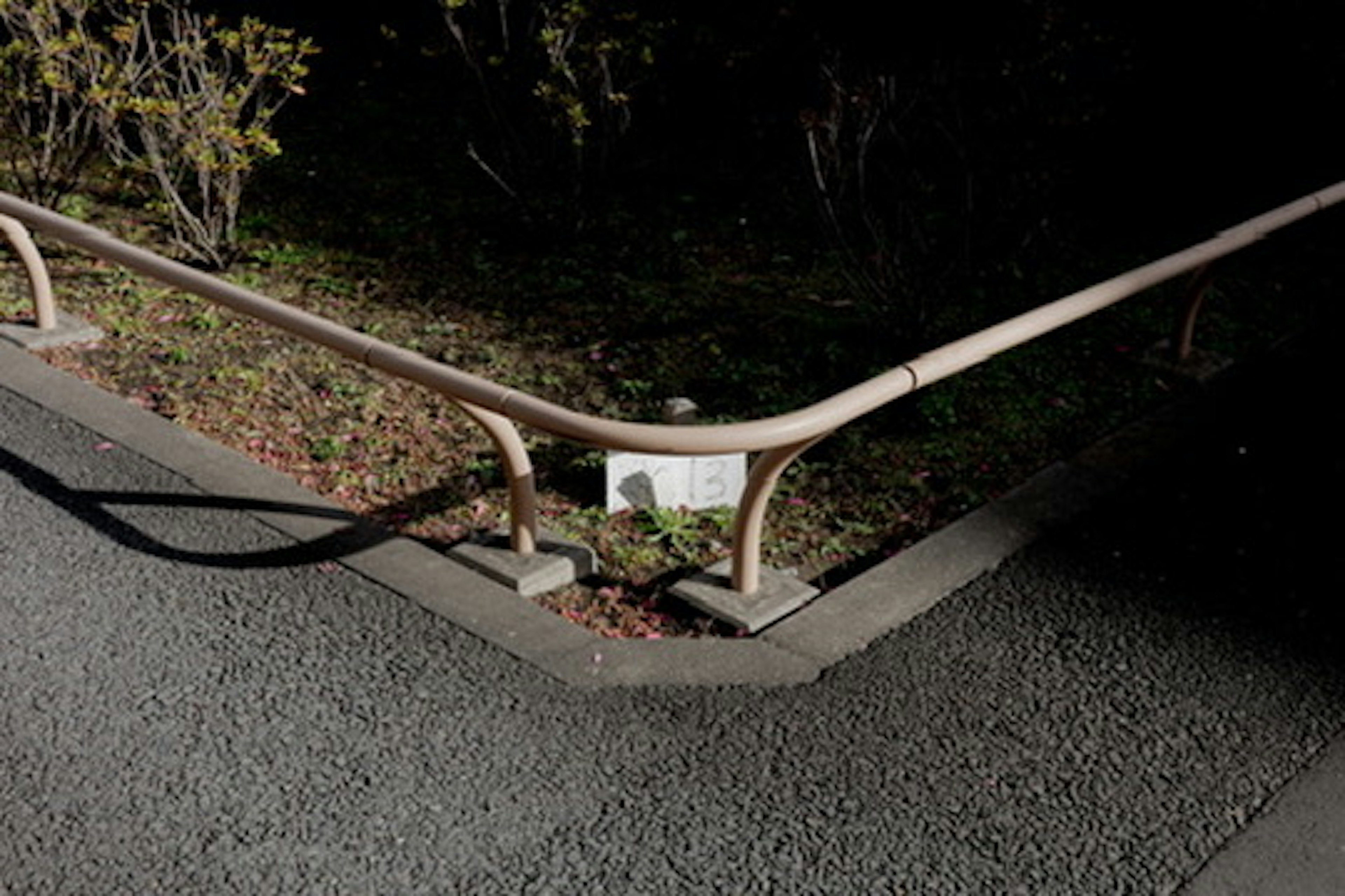 Curved handrail against a dark background with a paved path