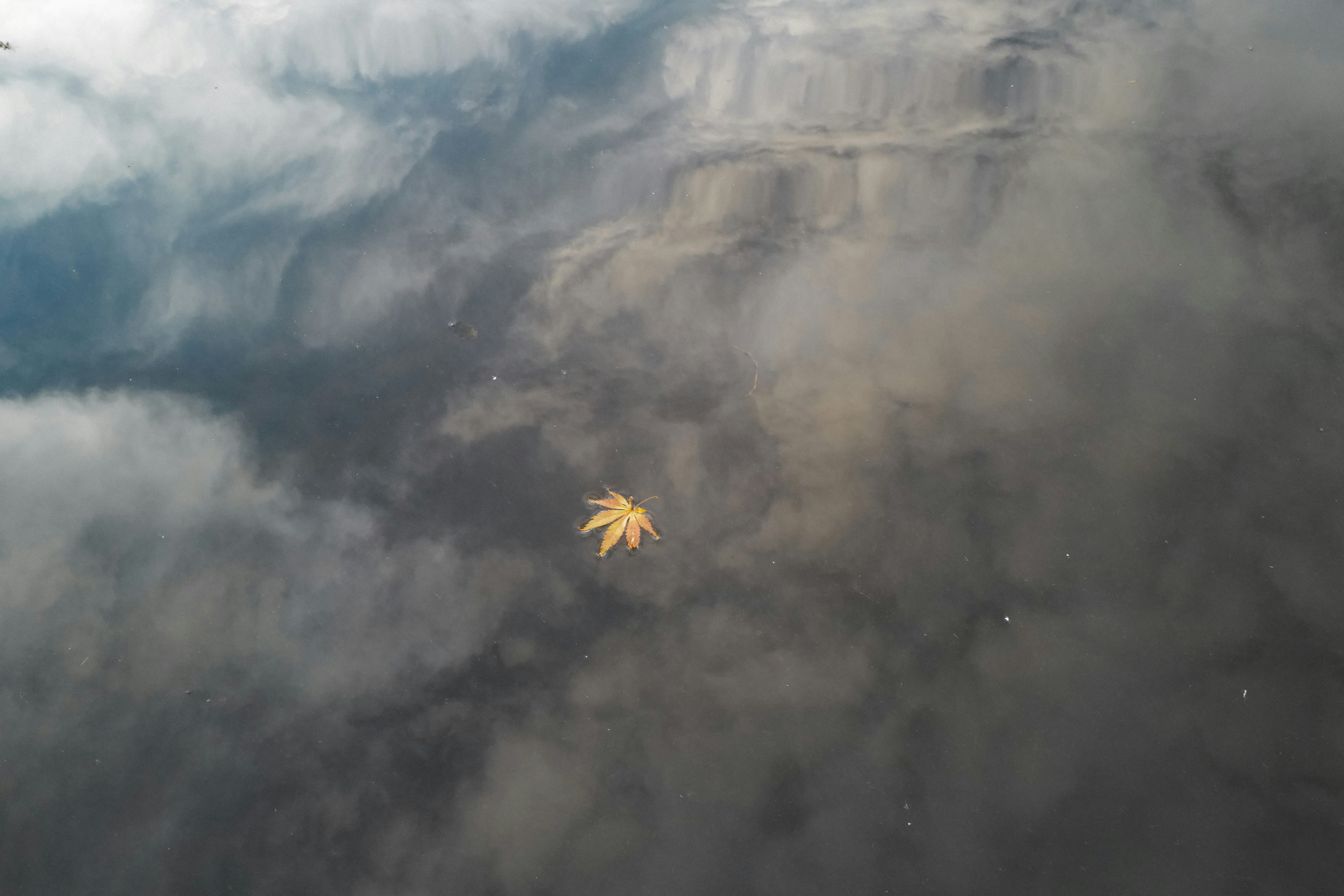 Feuille jaune flottant sur l'eau avec des reflets de nuages