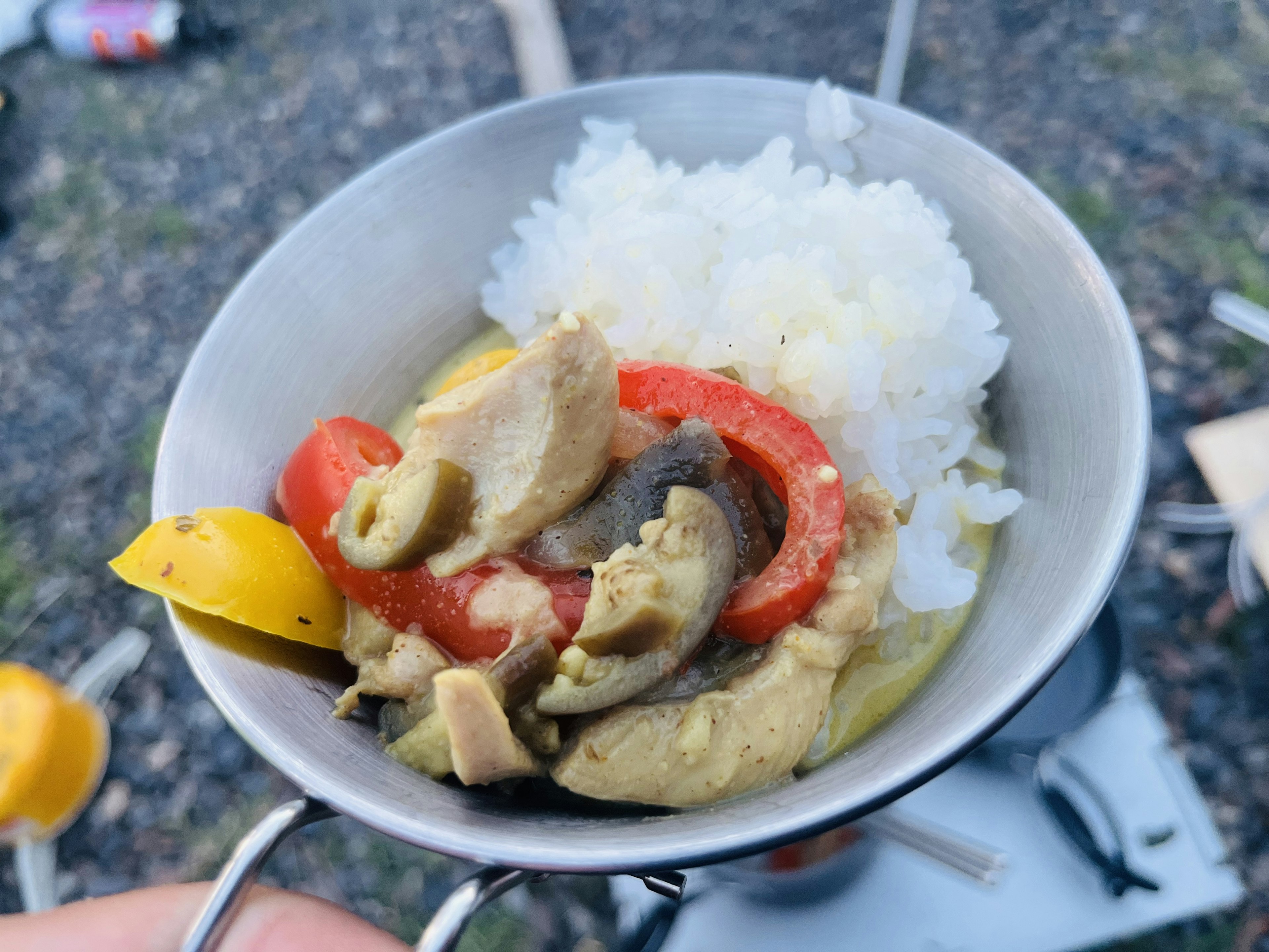 白ご飯とカレー風味の野菜と鶏肉が盛られたキャンプ用皿