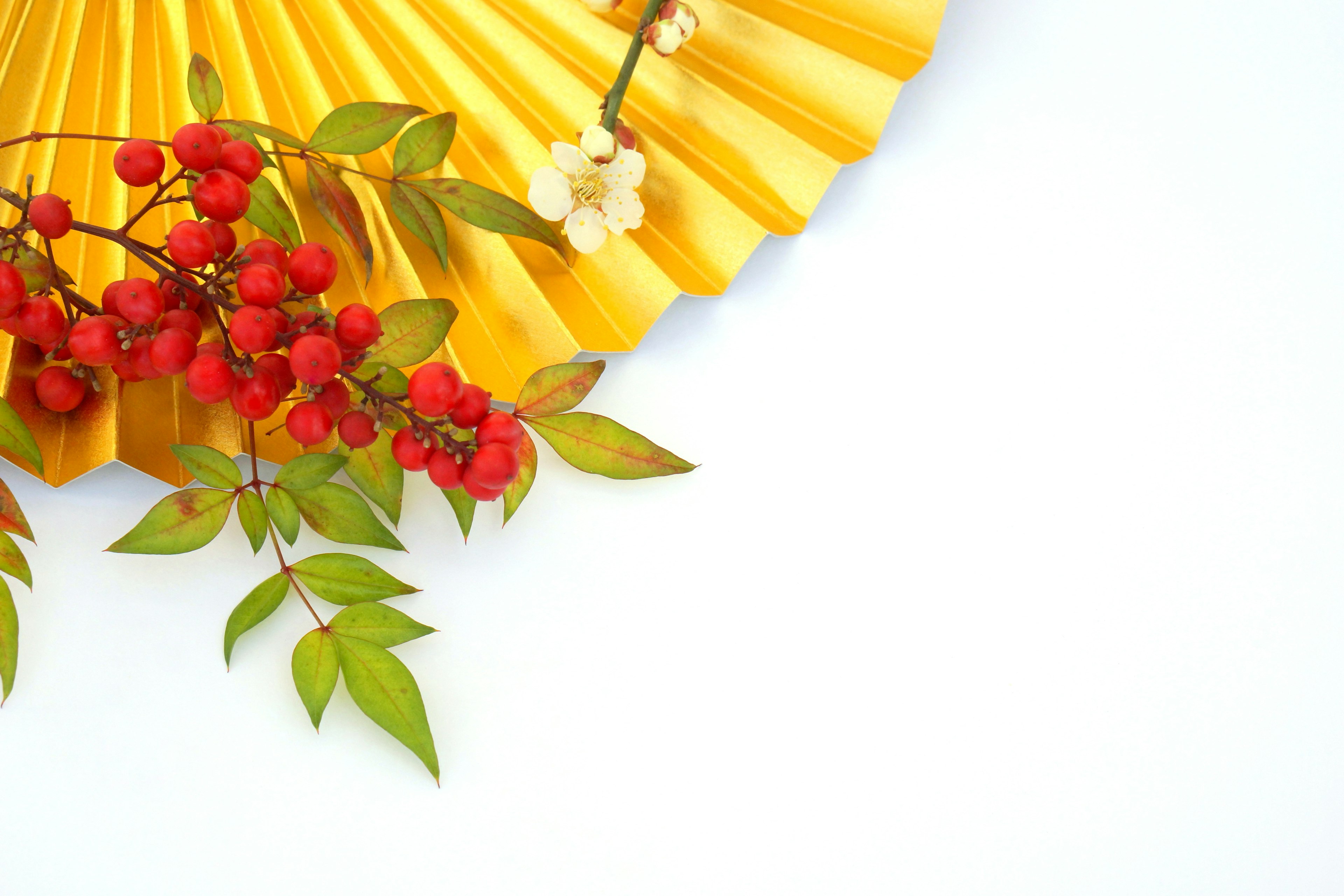 Image décorative avec un éventail jaune et des branches avec des baies rouges